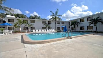 A swimming pool with lounge chairs and umbrellas, surrounded by a building with multiple windows and palm trees.