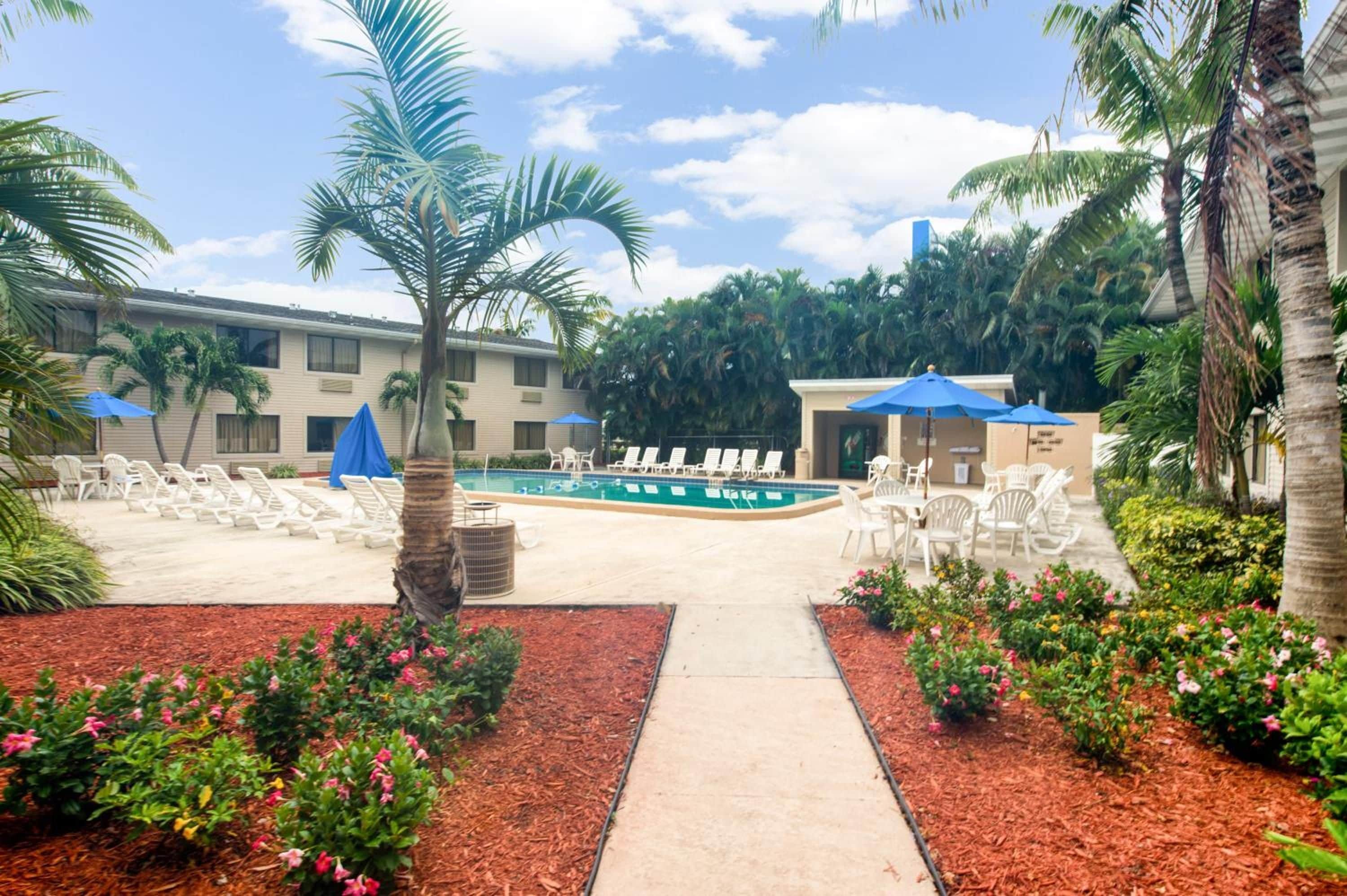 A pool area with lounge chairs, a palm tree, and a building in the background.