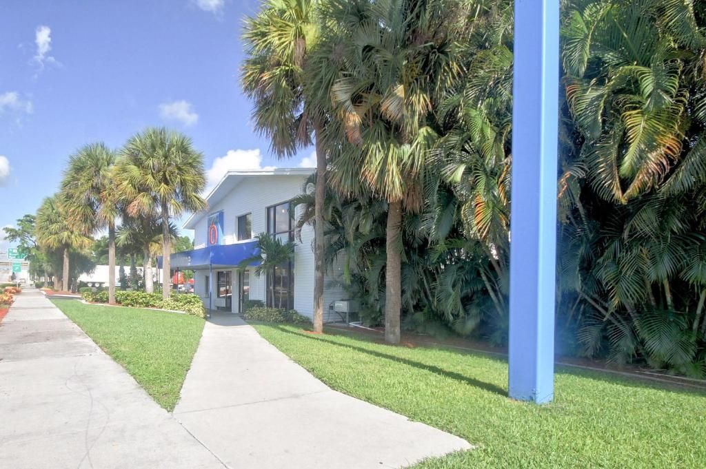 Una acera bordeada de palmeras y un edificio con toldo azul.