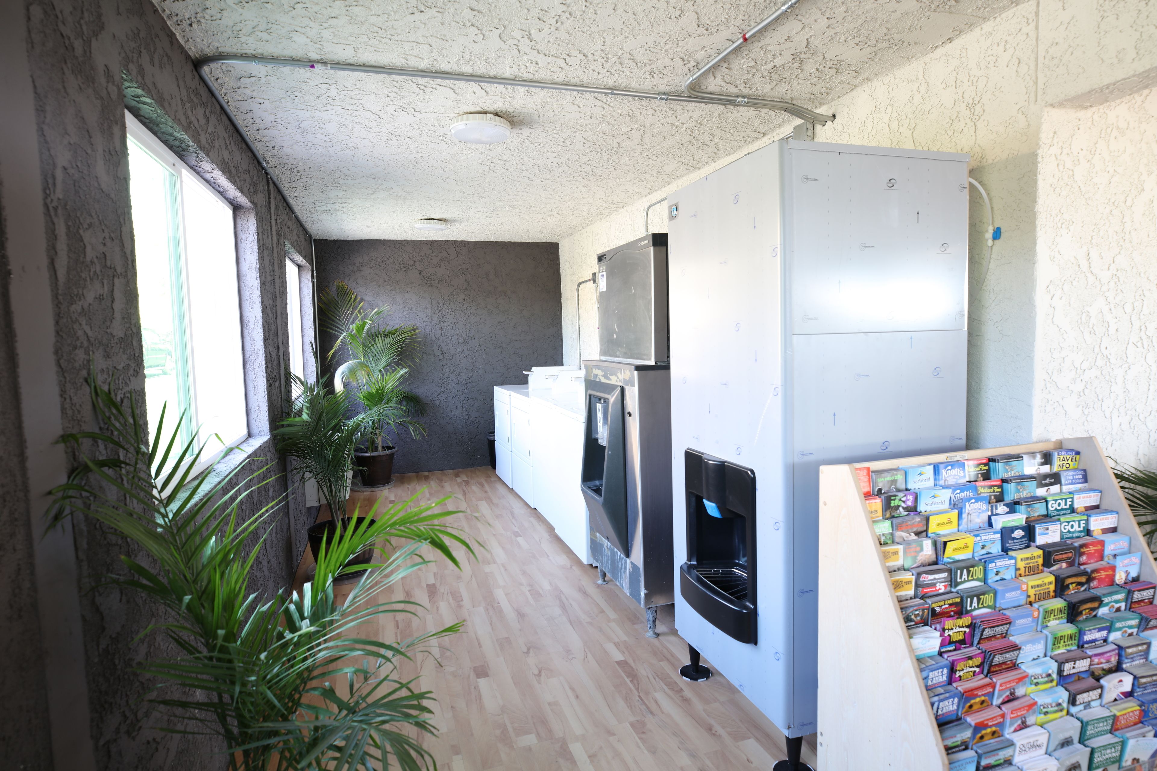 Ein schmales Dünnrohr mit einem Kühlschrank, einem Wasserspender und einer kleinen Küchenzeile inklusive Mikrowelle und Backofen. An der linken Wand stehen Topfpflanzen und auf einem Regal rechts befindet sich eine große Sammlung kleiner Gegenstände.