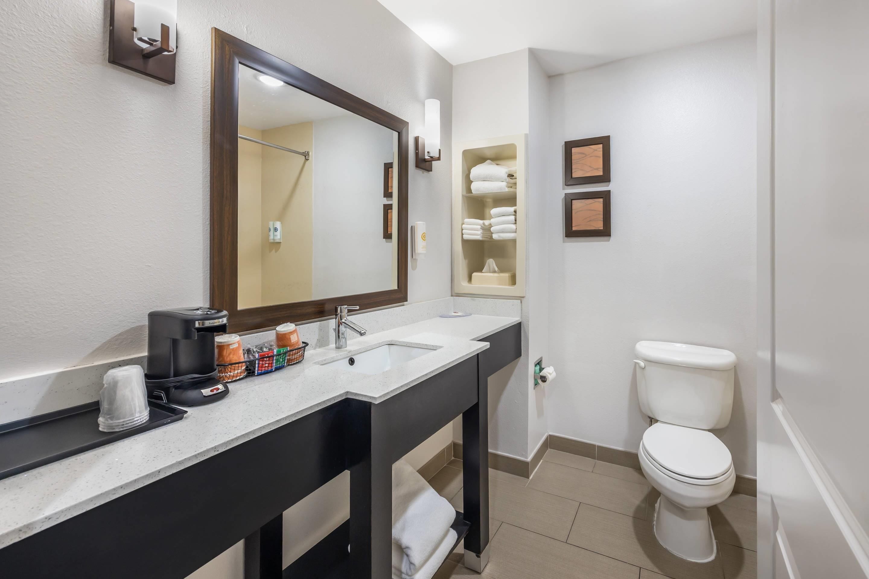 A modern bathroom with a double sink, a toilet, and a mirror.