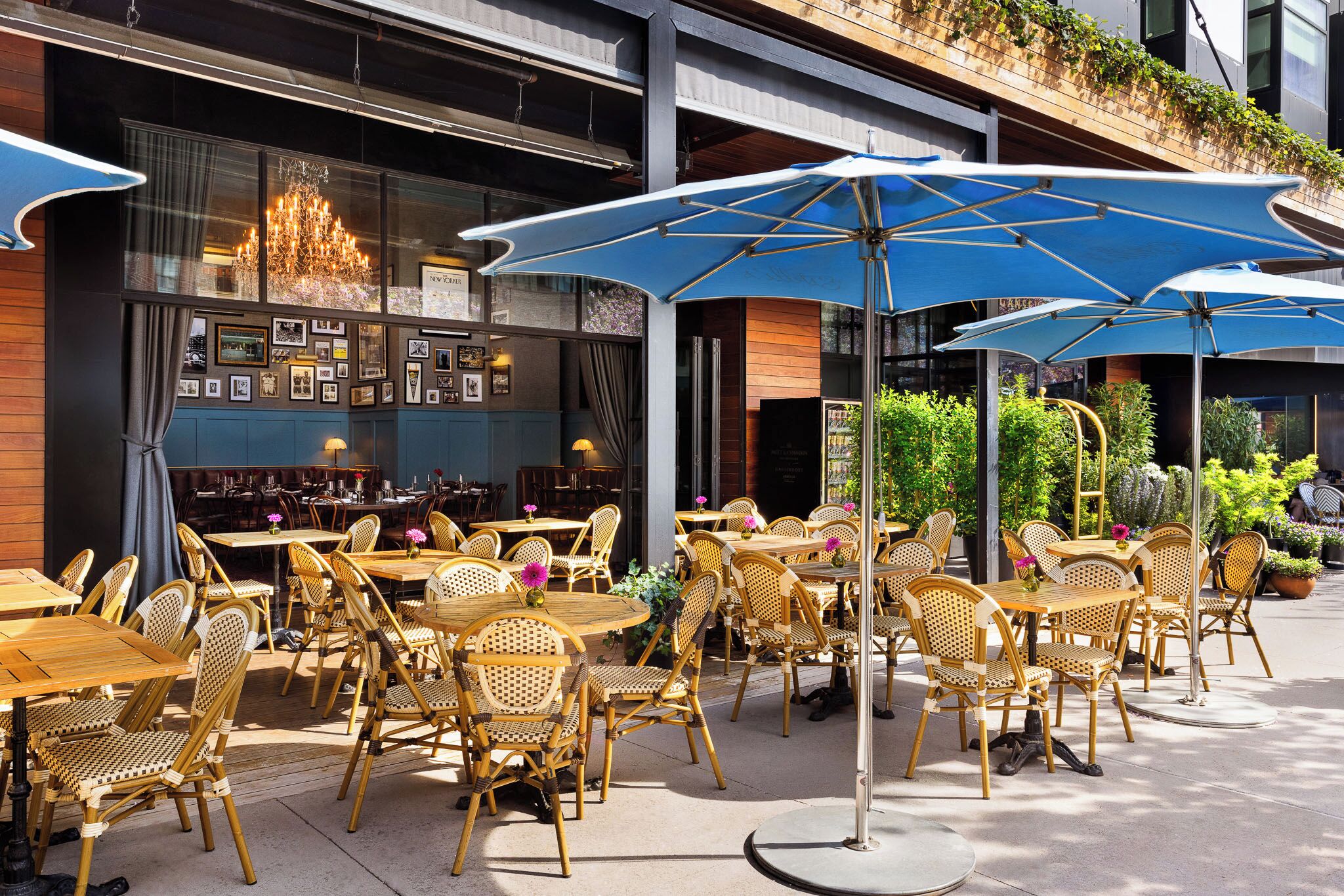 An outdoor dining area with wicker chairs and tables, blue umbrellas, and a visible interior with framed pictures and a chandelier.
