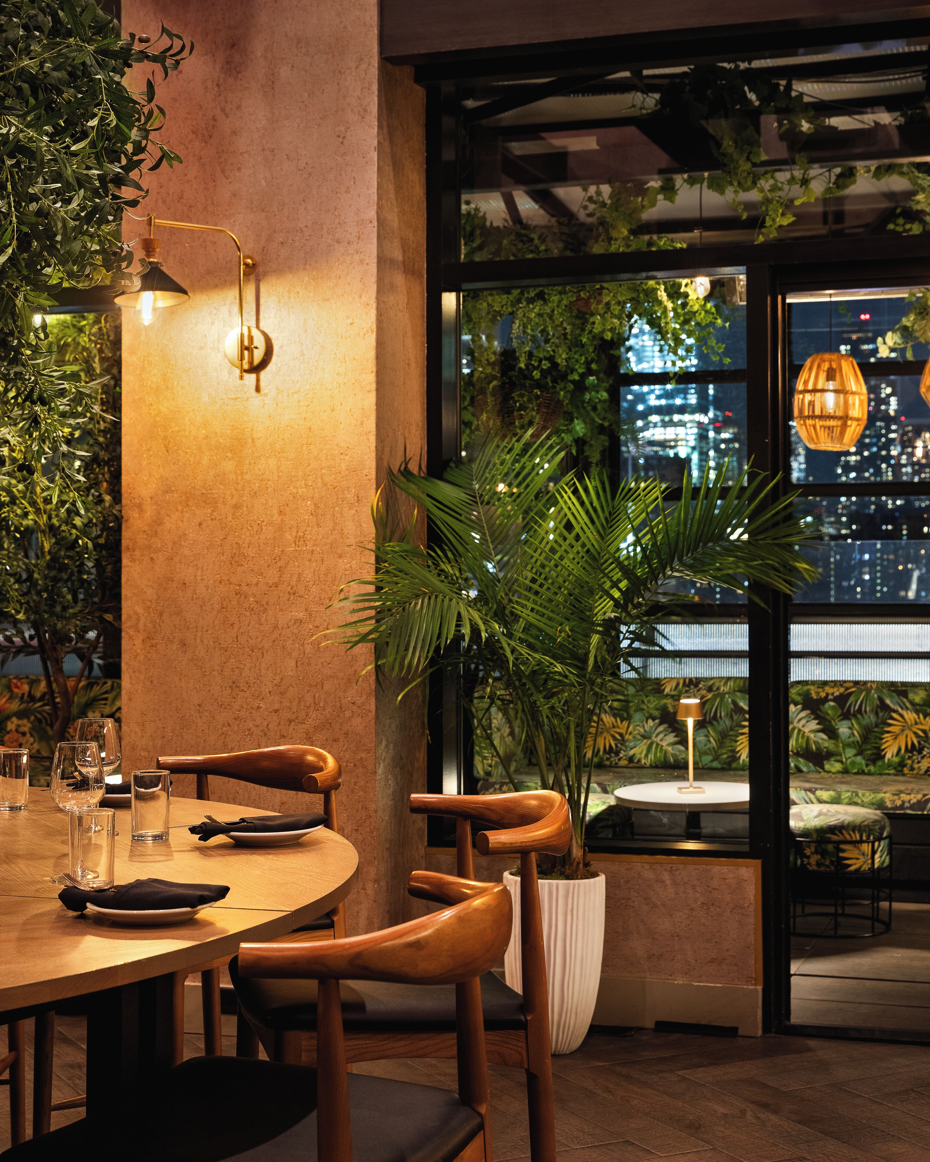 Um restaurante com mesa de madeira, cadeiras e uma grande planta em vaso.