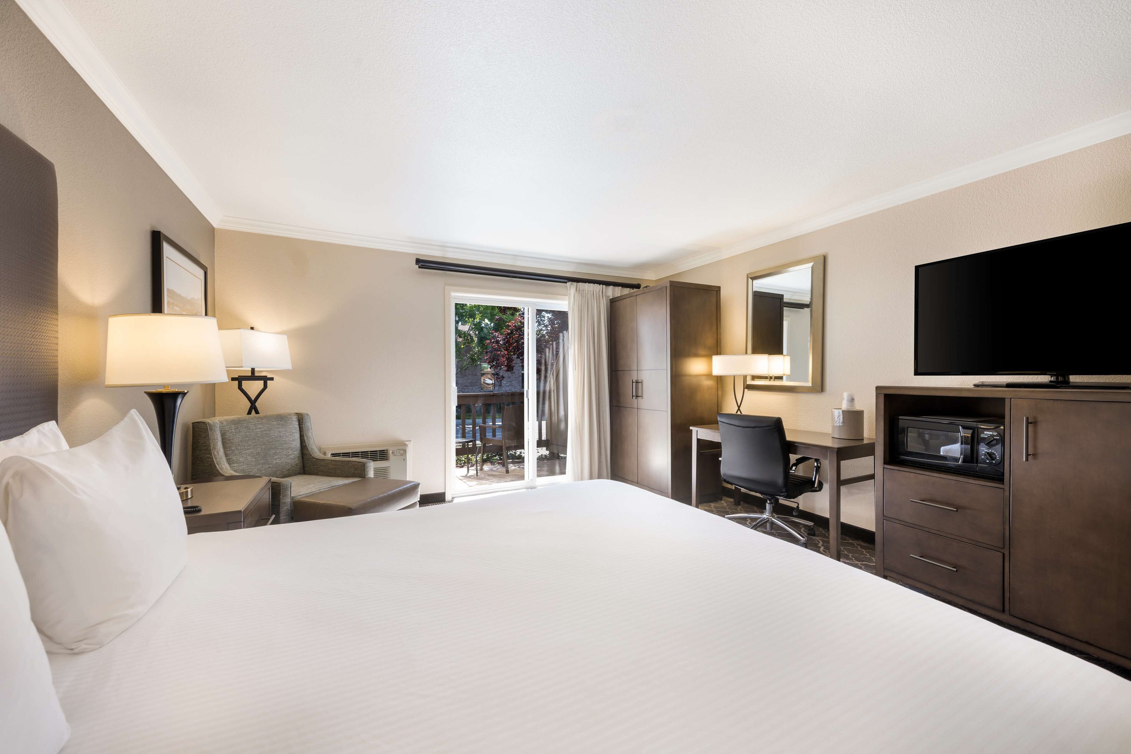 standard room, 1 king bed, non smoking, patio (not pet friendly) | in-room safe, desk, laptop workspace, blackout curtains