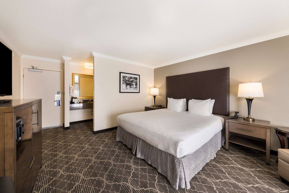 A hotel room with a large bed, two bedside tables with lamps, a dresser, a television, and a carpeted floor.
