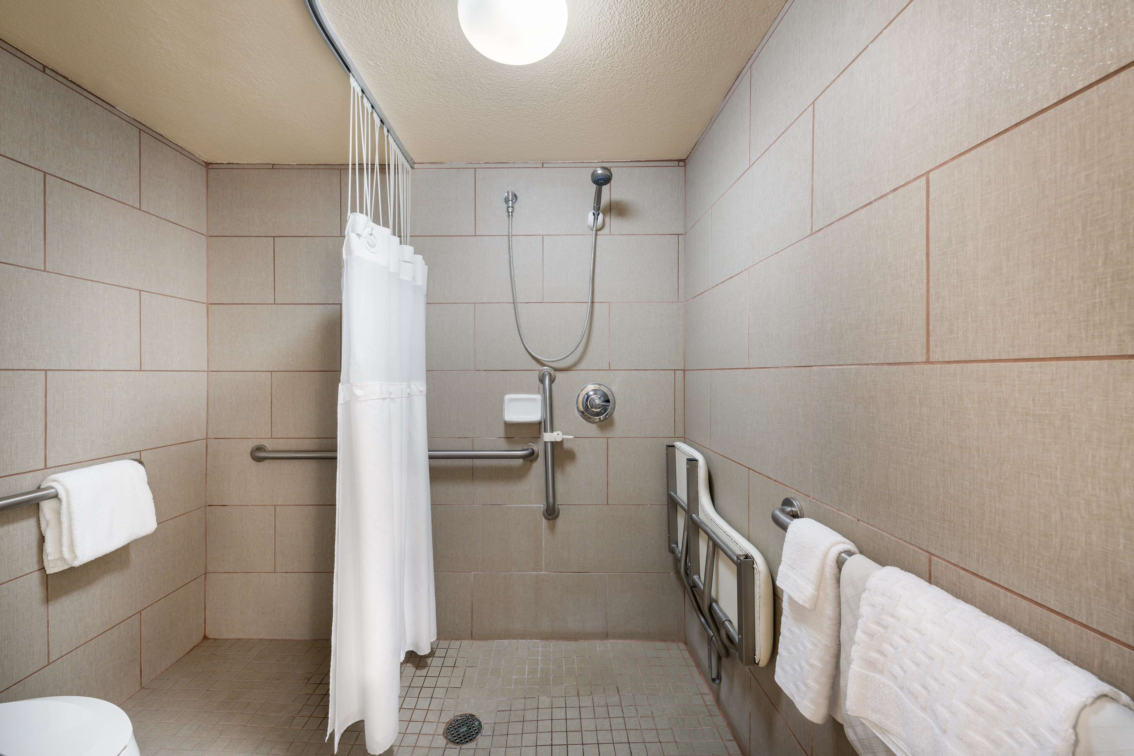 standard room, 1 king bed, accessible, non smoking | bathroom | combined shower/bathtub, free toiletries, hair dryer, towels