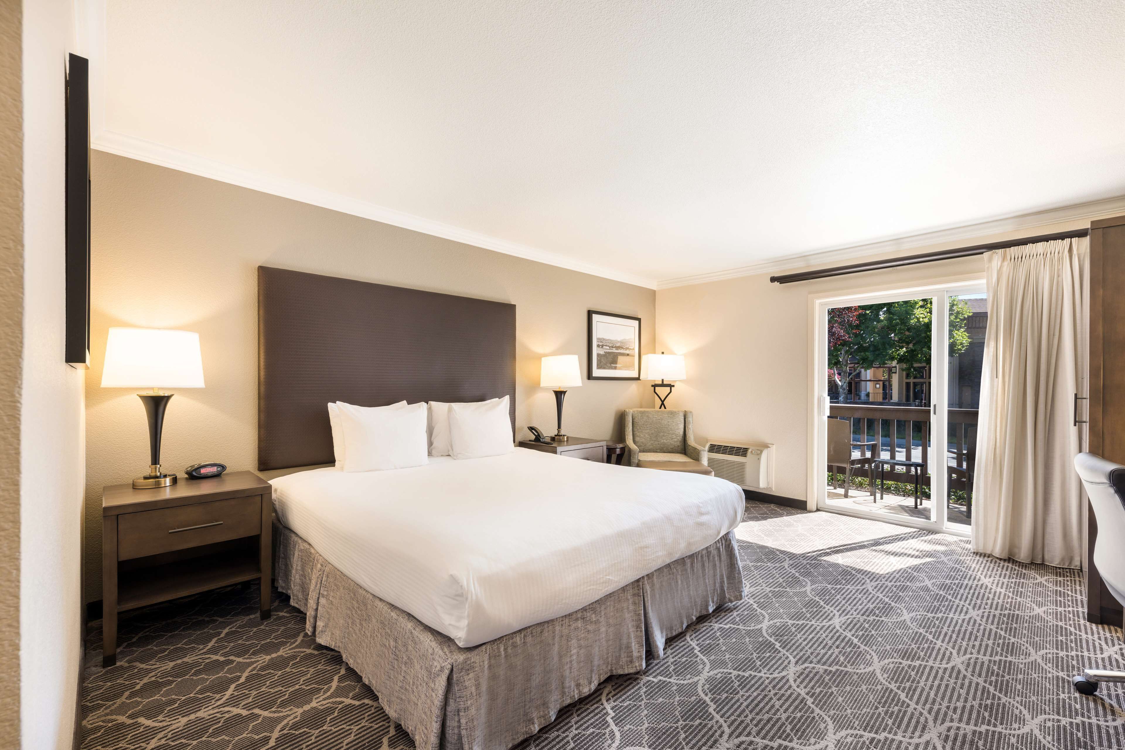 standard room, 1 king bed, non smoking, patio (not pet friendly) | in-room safe, desk, laptop workspace, blackout curtains