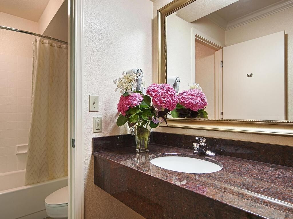 Bathroom | Combined shower/tub, free toiletries, hair dryer, towels