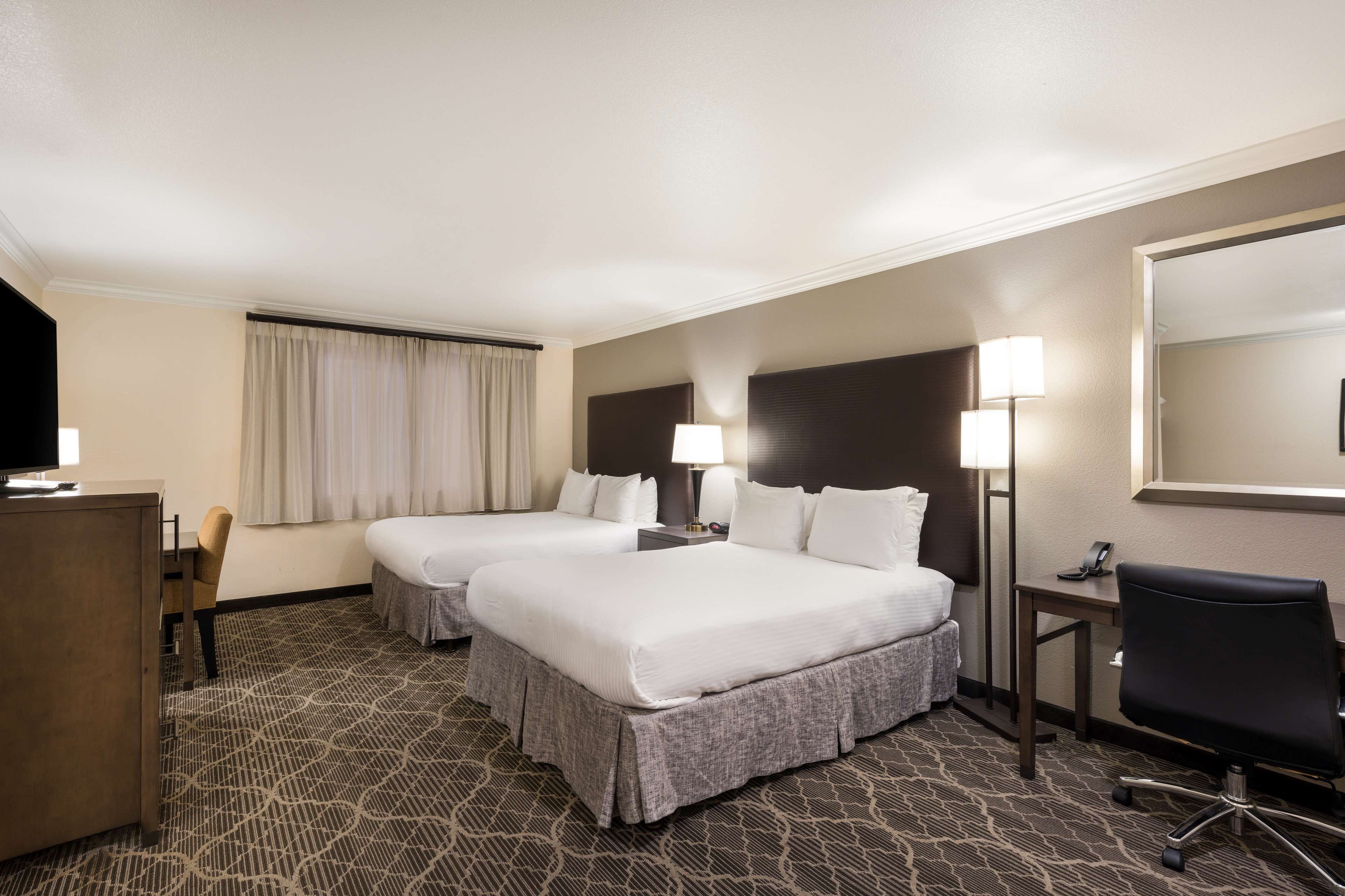 Suite familiar, varias camas, para no fumadores, refrigerador y microondas (with Sofabed) | Caja de seguridad en la habitación y escritorio 