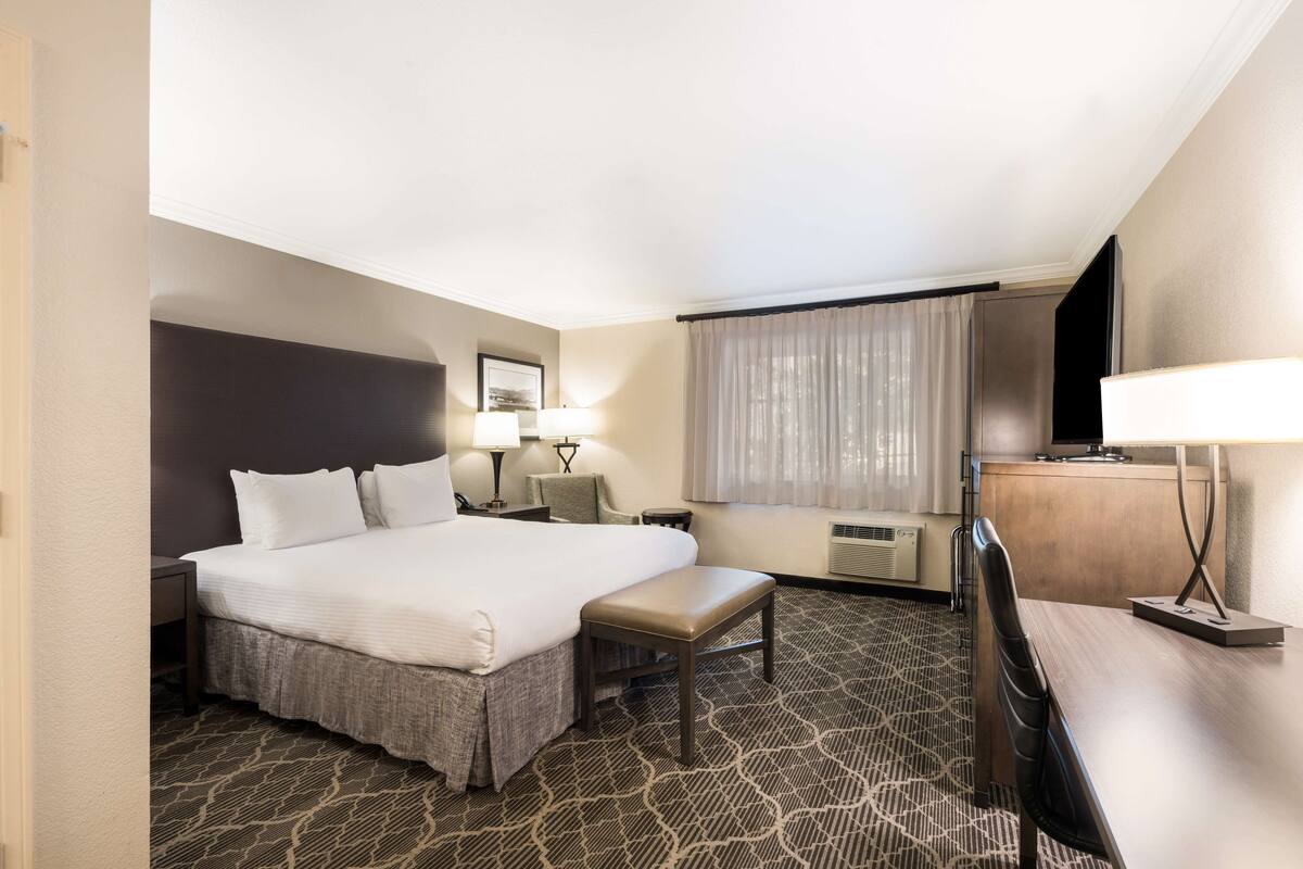 A hotel room with a large bed, a desk, a chair, a TV, and a window with curtains.