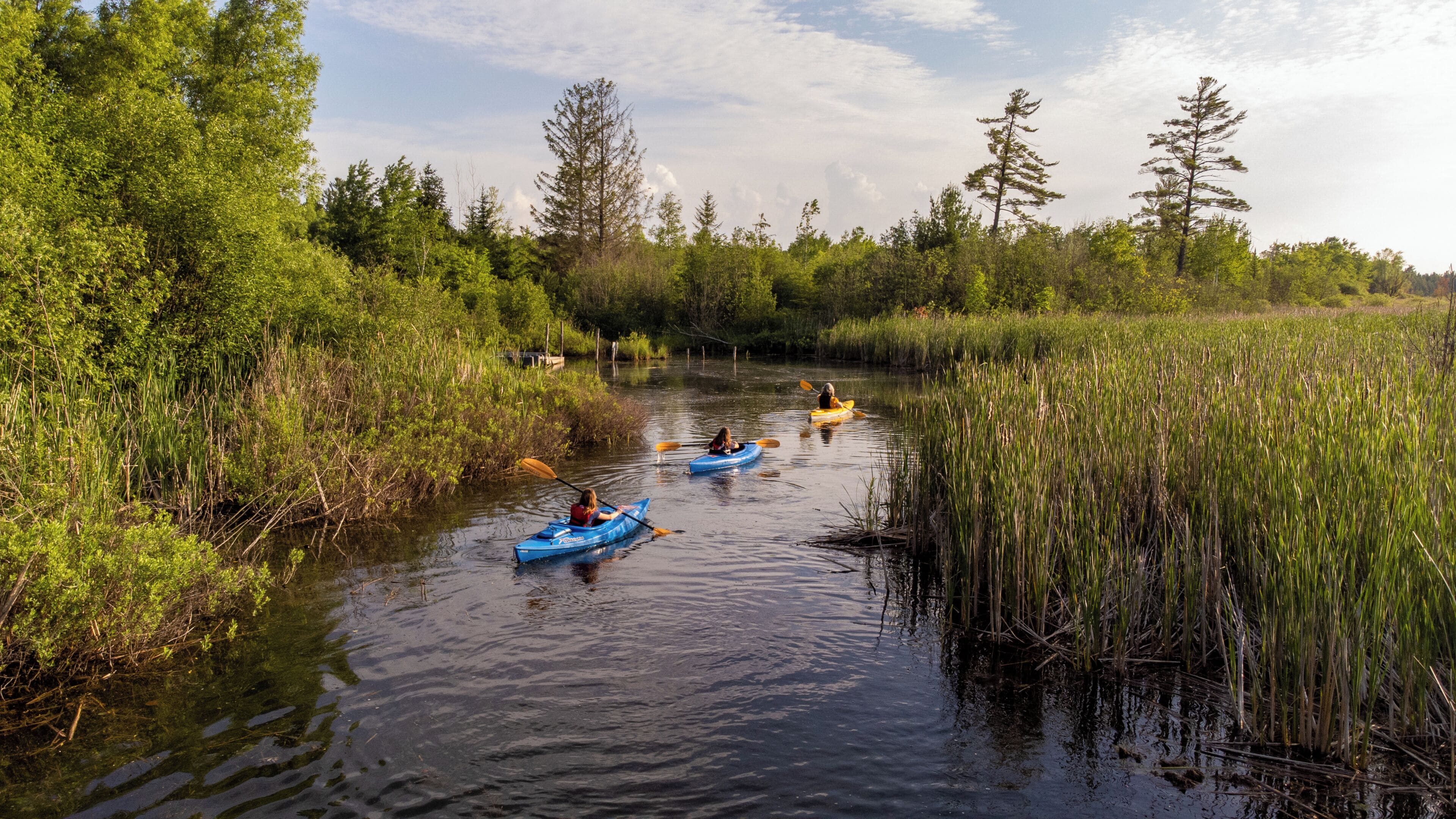 Un río tranquilo con kayaks, rodeado de vegetación densa y árboles.