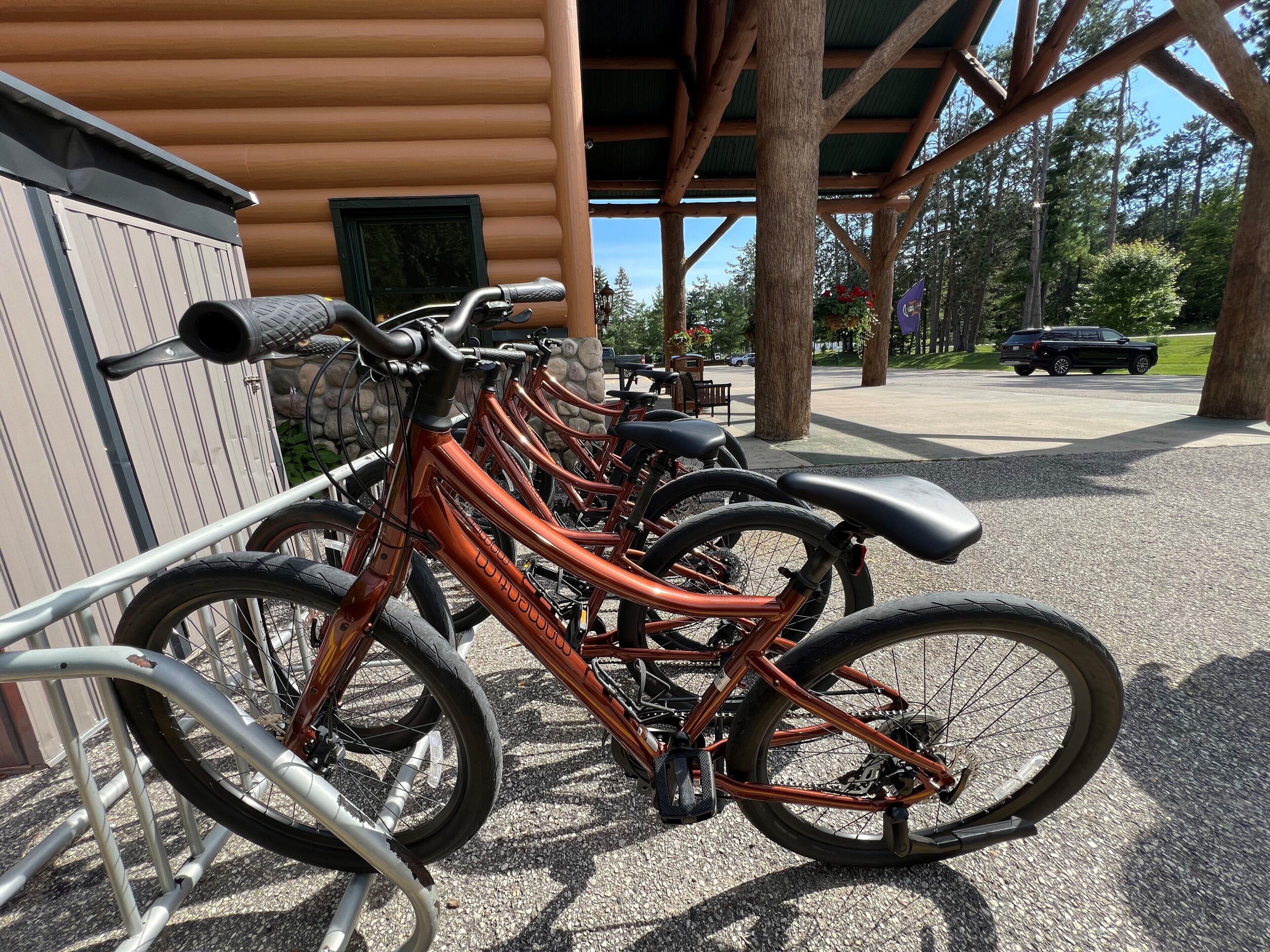 Une rangée de vélos est garée sous une structure en bois, avec en arrière-plan un parking et des arbres.