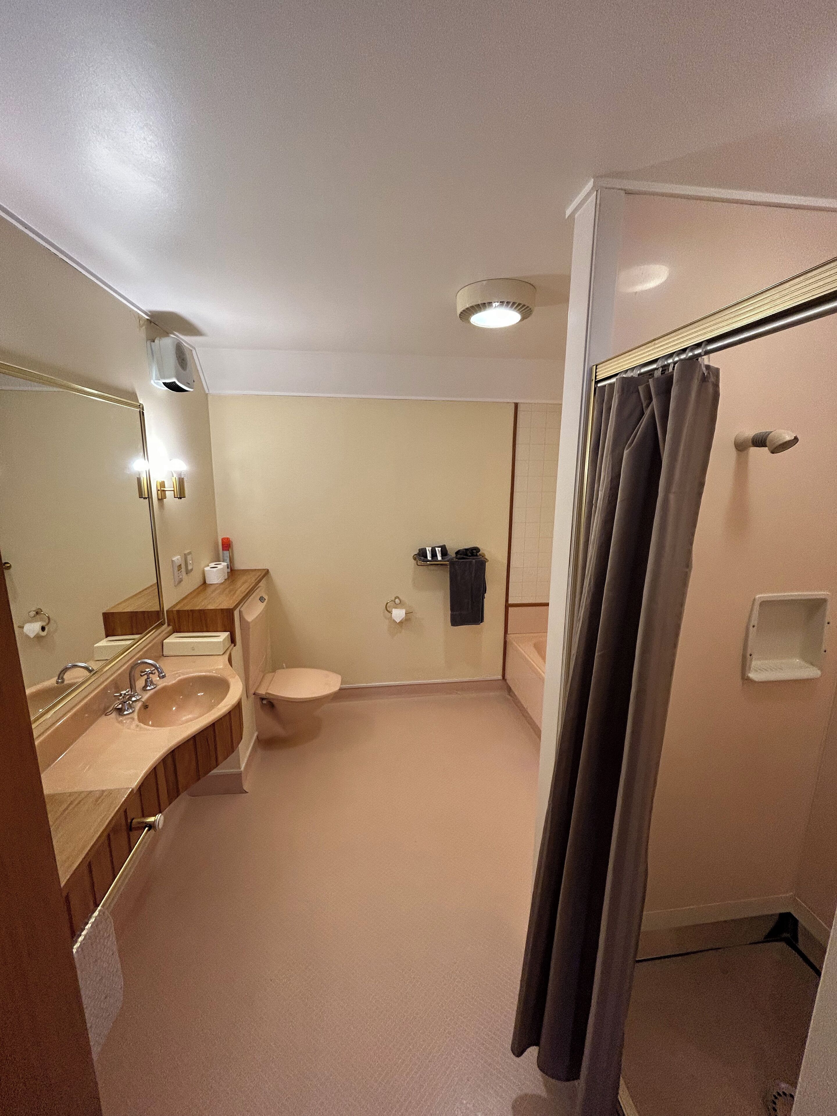 A bathroom with a sink, toilet, and shower curtain.