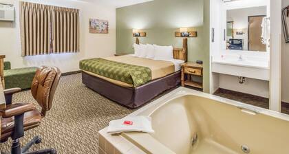 Econo Lodge Custer - Crazy Horse Area