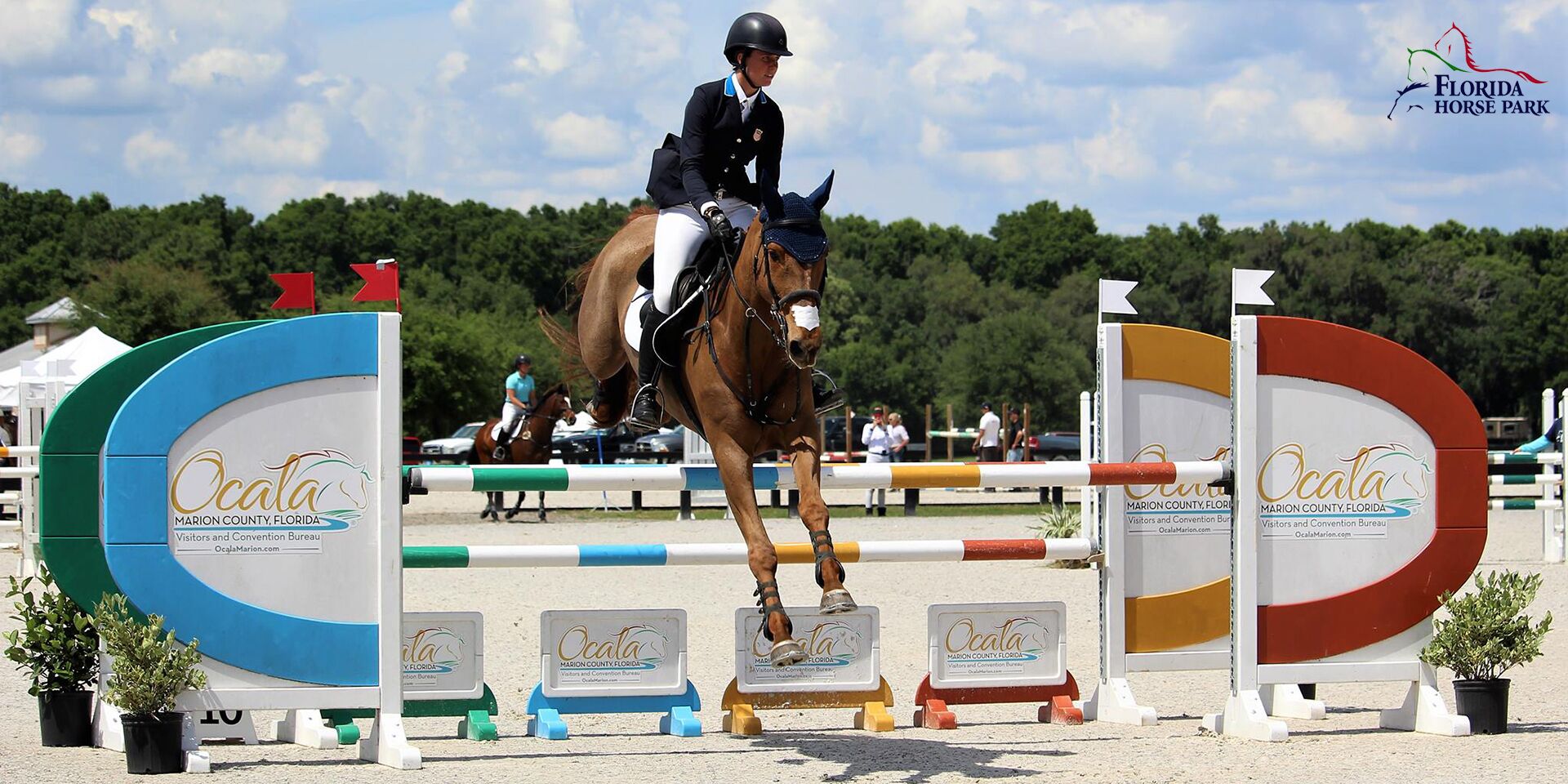 A horse jumping over an obstacle at a competition.