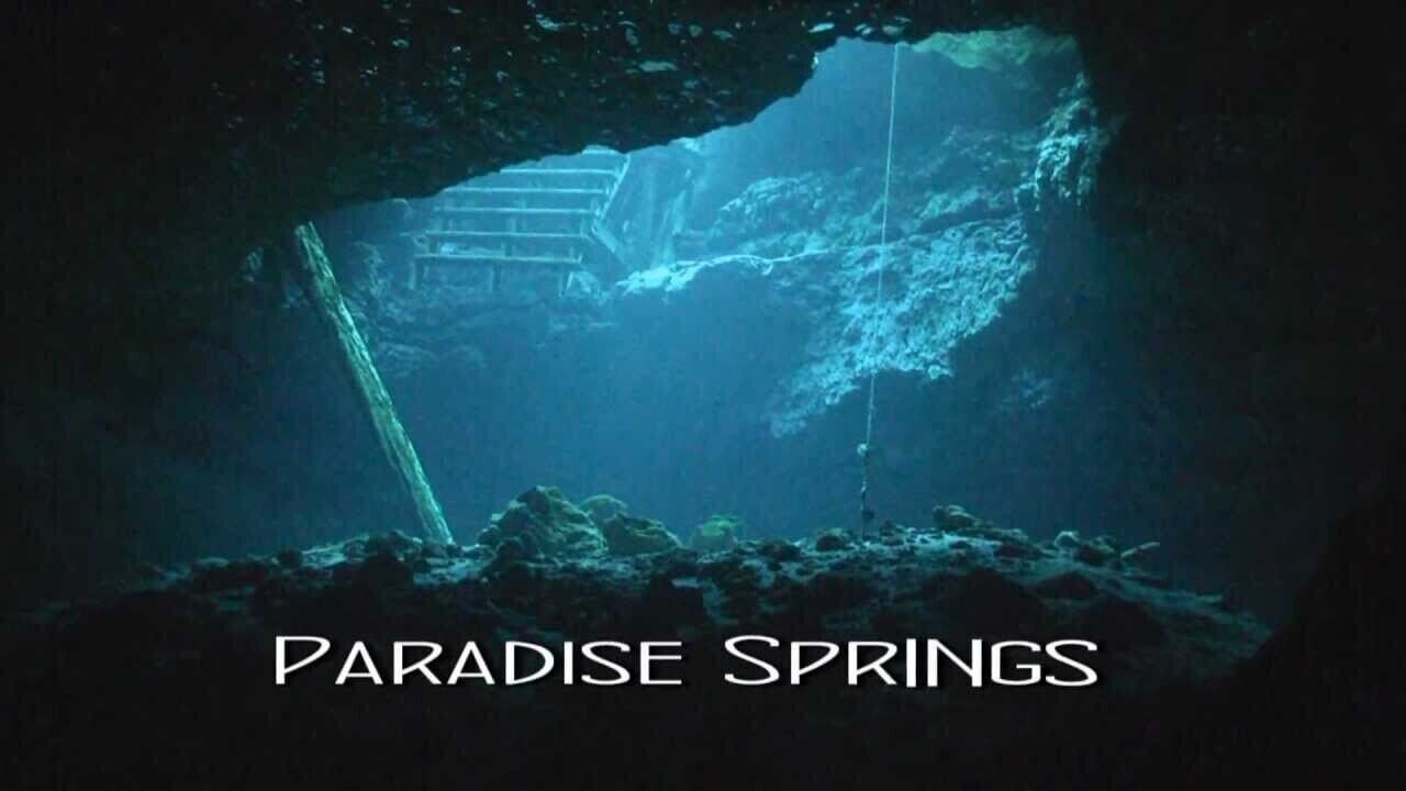 An underwater cave with a staircase leading into the depths, labeled "PARADISE SPRINGS."