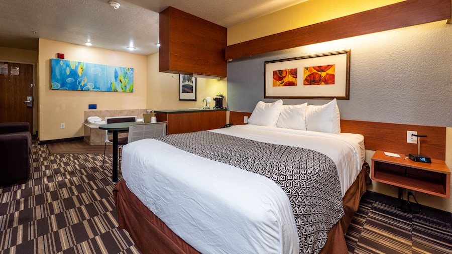 Microtel Inn & Suites by Wyndham Ocala