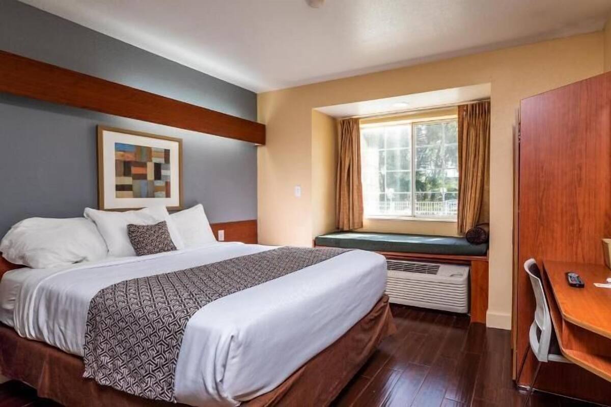 A hotel room with a bed, a desk, a window with curtains, a radiator, and a framed picture on the wall.
