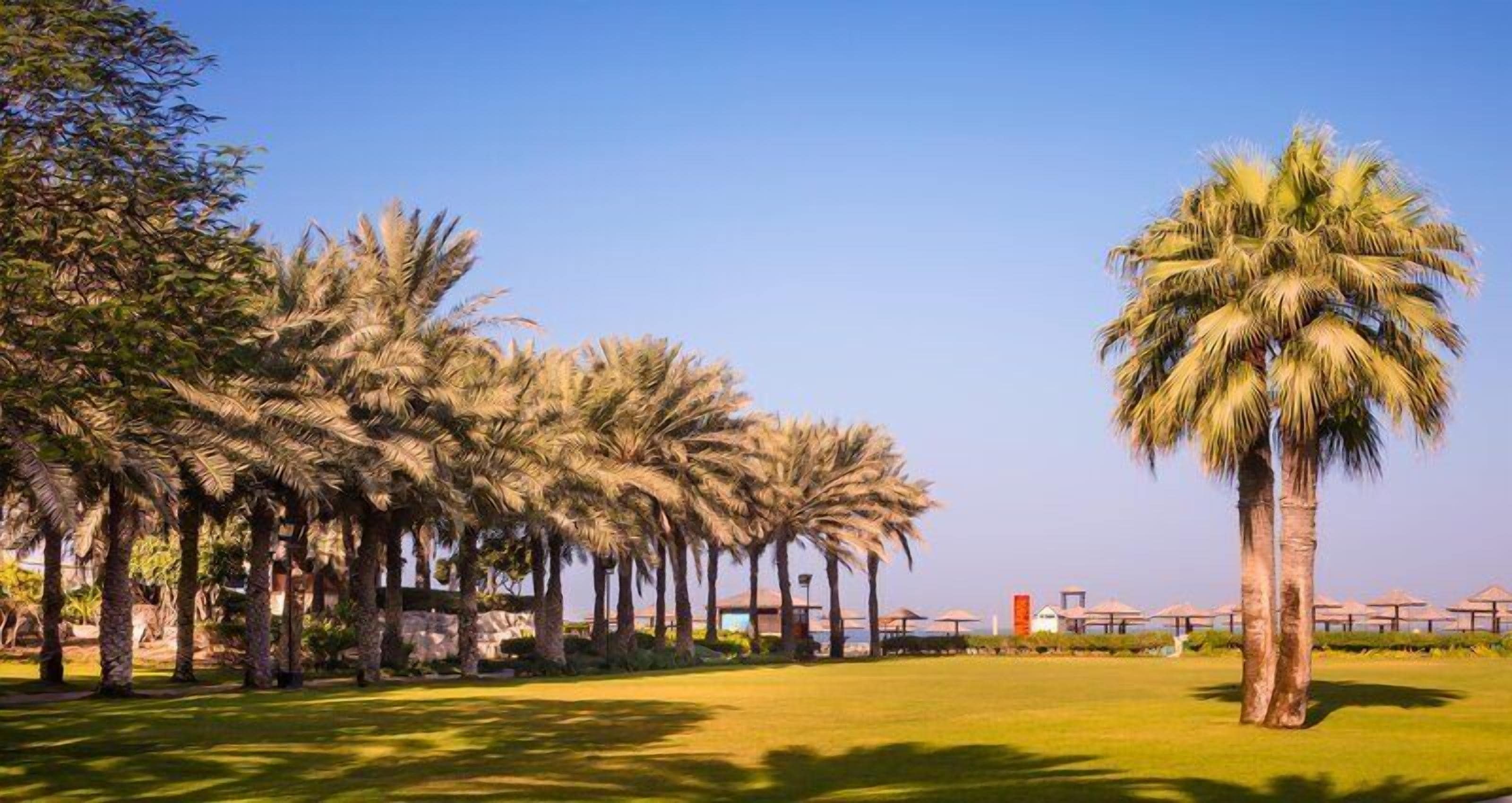 Foto - Coral Beach Resort - Sharjah