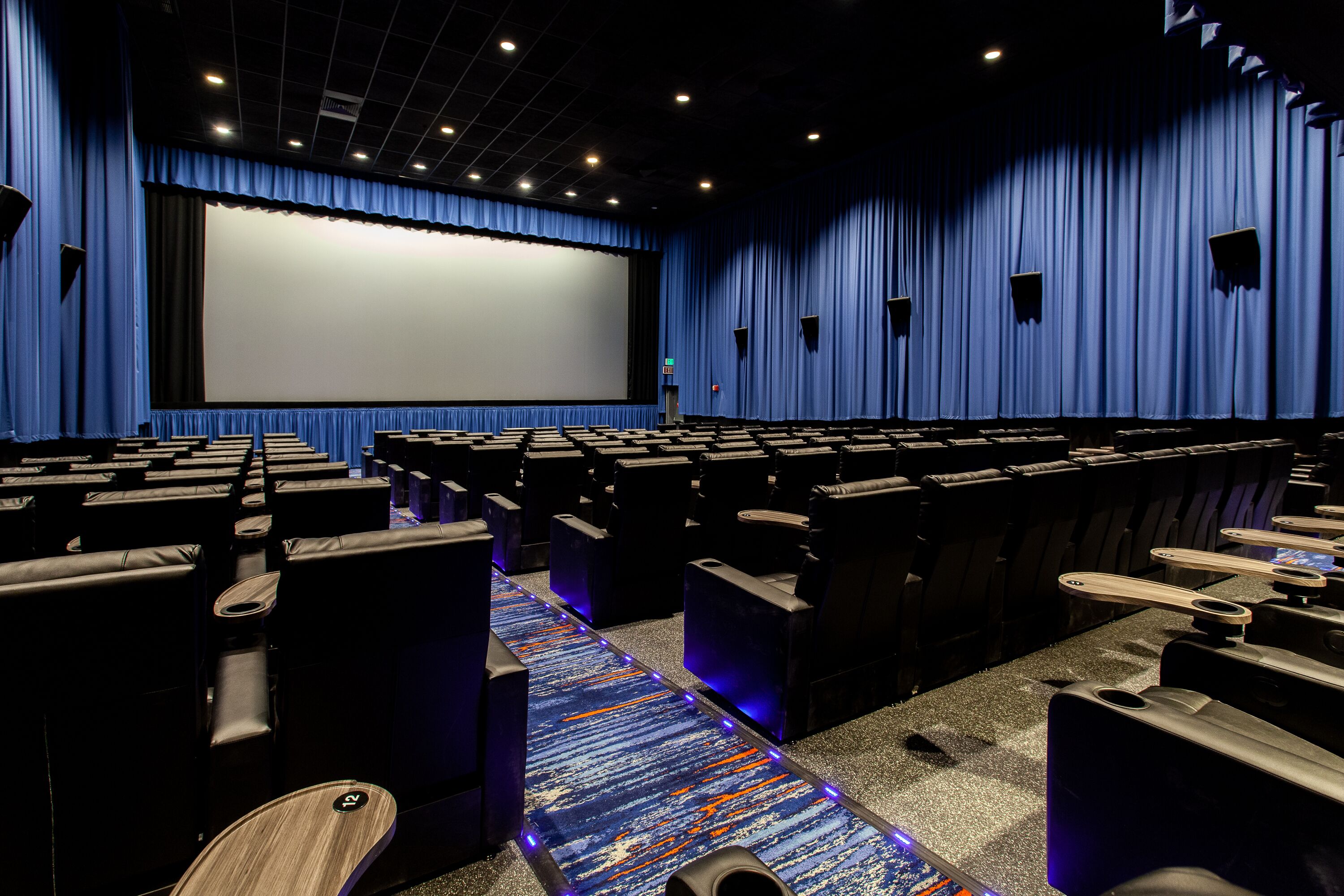 Ein Theater mit Sitzreihen, einer großen Leinwand und blauen Vorhängen.