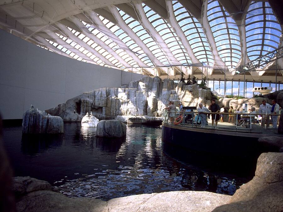 Un acuario con un amplio techo de cristal, formaciones rocosas y un bote con gente.