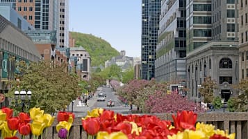 A city street with modern buildings, a hill in the background, and a row of tulips in the foreground.