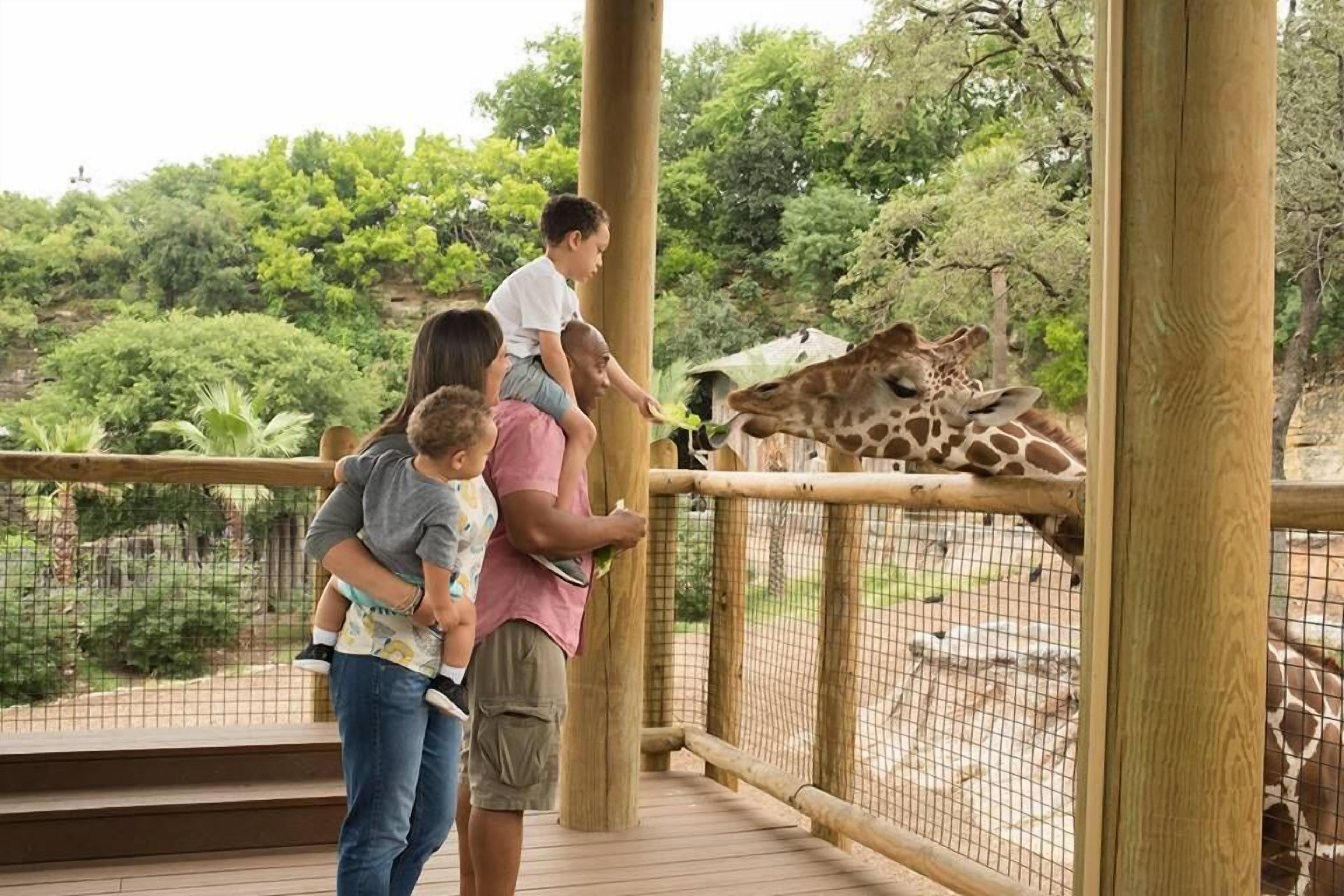 Photo - Mokara Hotel & Spa