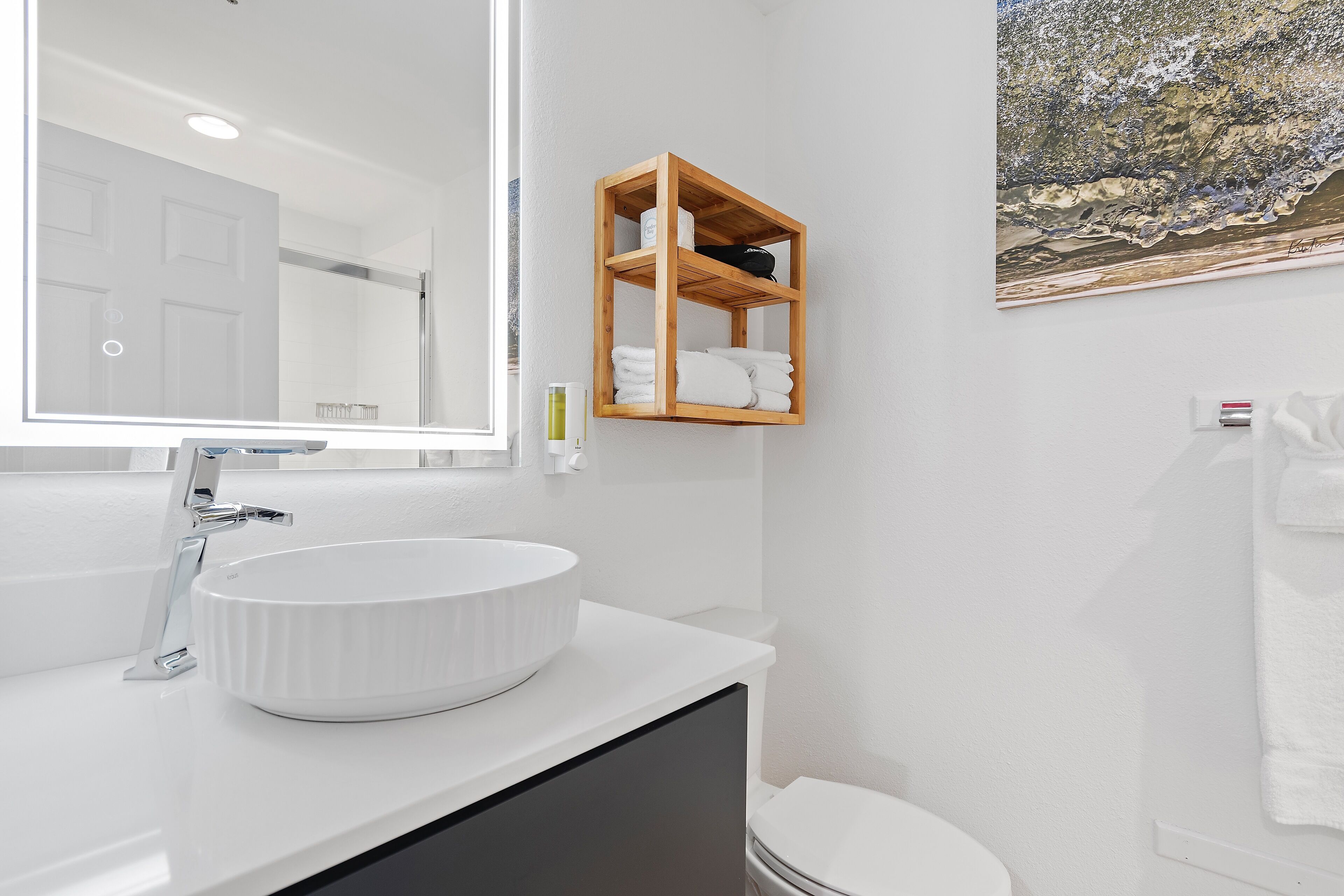 hair dryer, towels, soap, shampoo