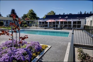 Una piscina con un área de terraza cercada, rodeada de flores moradas y amarillas, y mobiliario exterior con sombrillas.