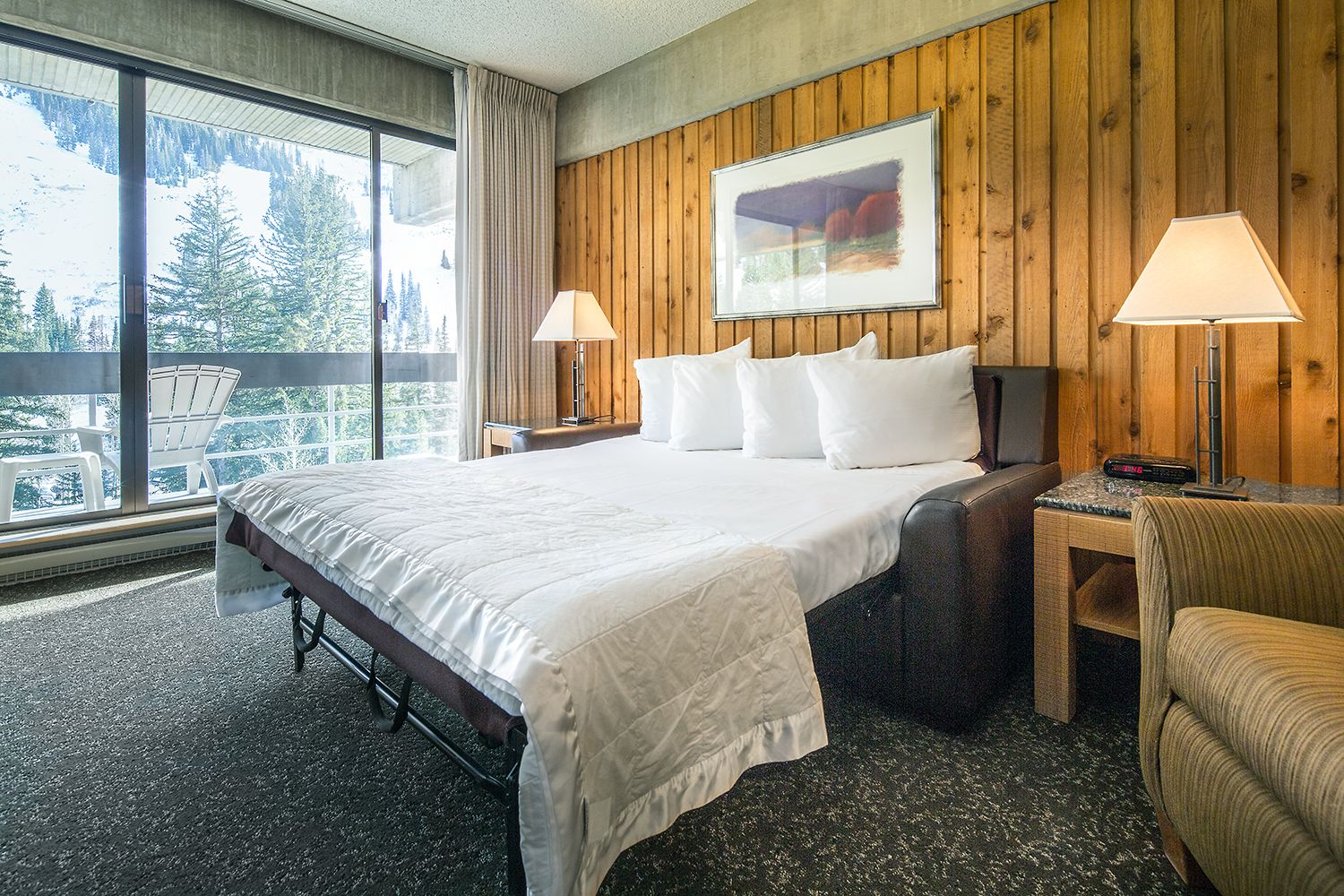 standard studio, kitchen, mountain view | blackout curtains, iron/ironing board, free cots/infant beds