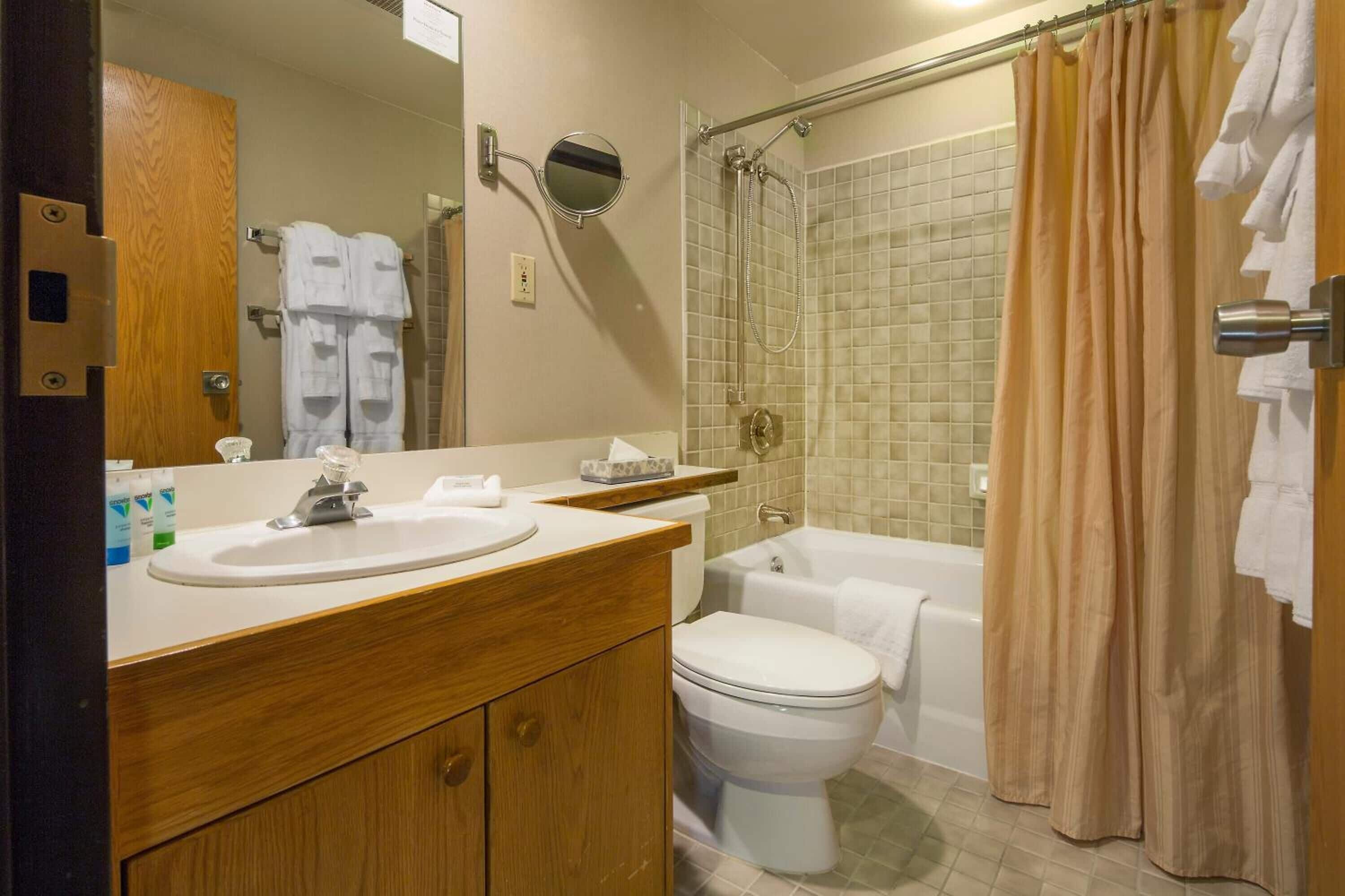 combined shower/bathtub, free toiletries, hair dryer, towels