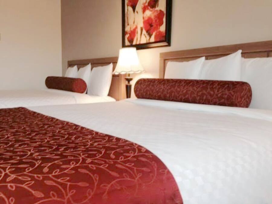 Rom – royal, 2 queensize-senger | Skrivebord, blendingsgardiner, lydisolert og strykejern/-brett