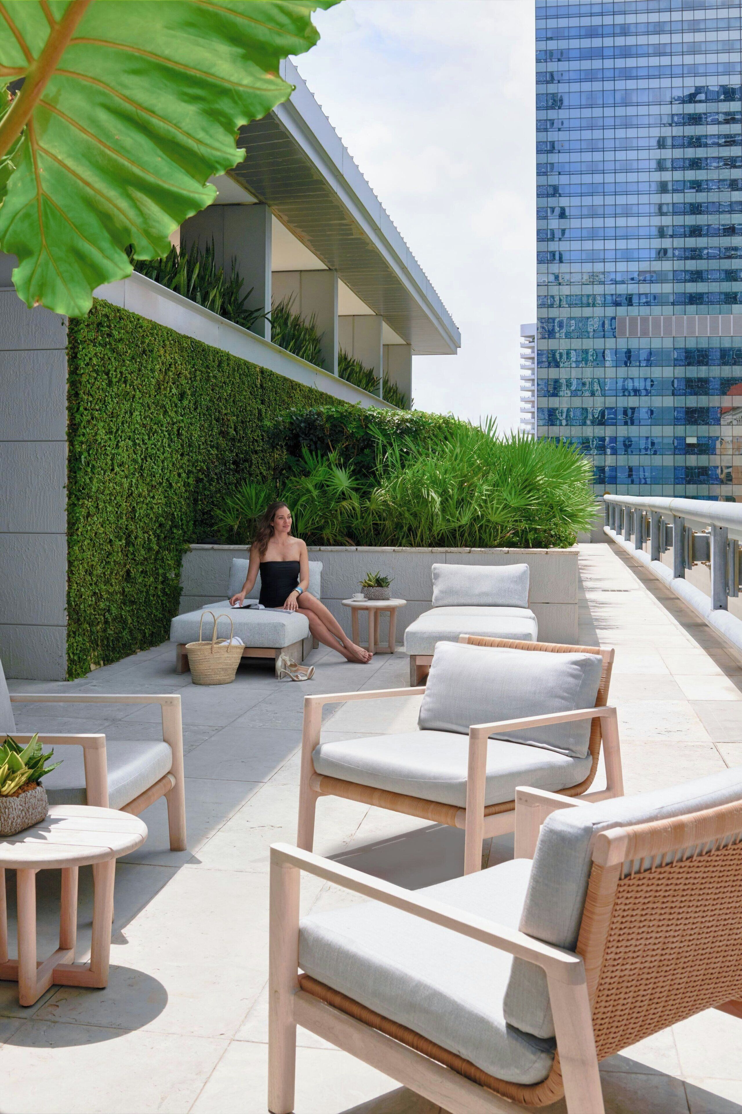 A rooftop terrace with outdoor seating, a large leafy plant, and a modern building in the background.