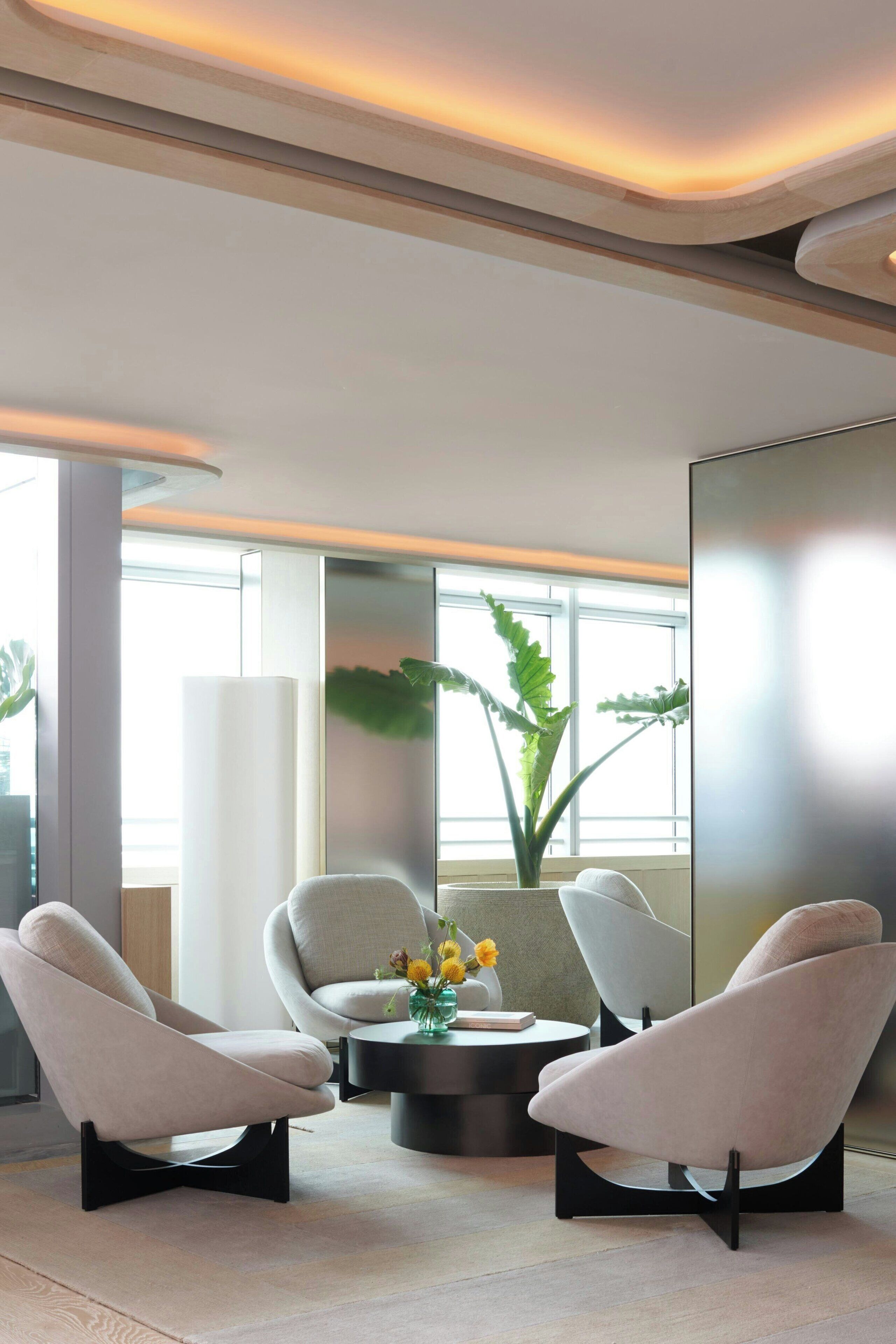 A modern interior with two white armchairs, a round coffee table, and a large plant.