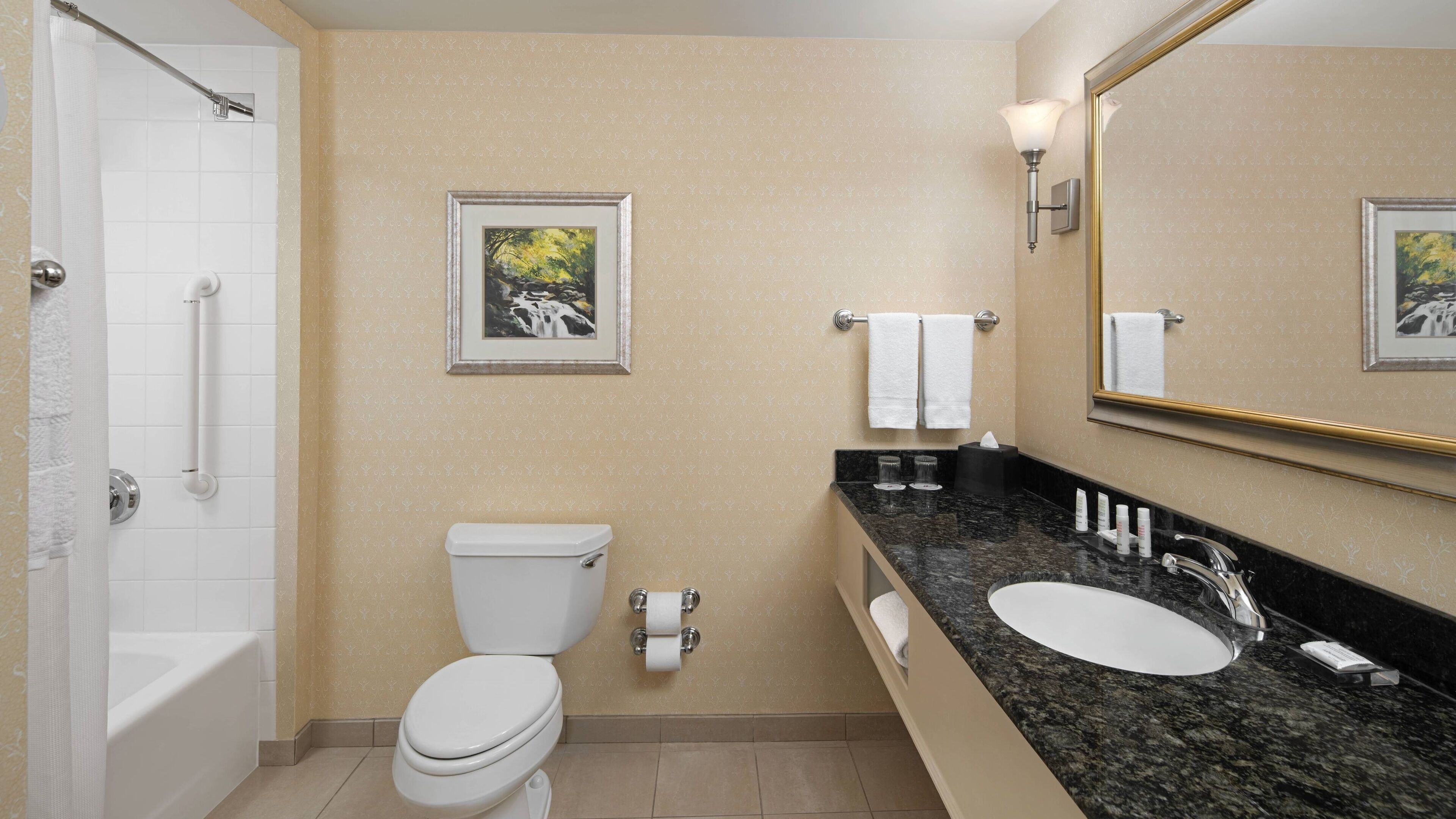 combined shower/bathtub, free toiletries, hair dryer, towels