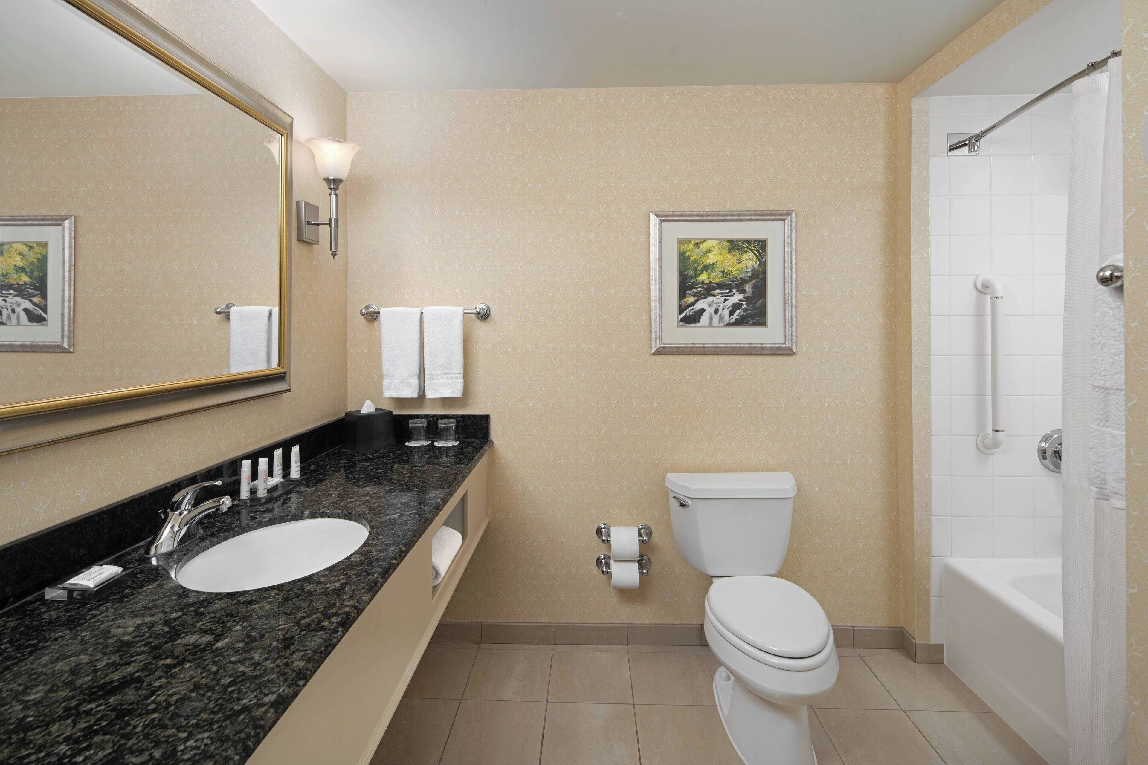 combined shower/bathtub, free toiletries, hair dryer, towels