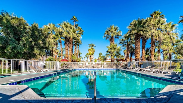 A swimming pool with lounge chairs and palm trees. - Motel 6 Palm Springs, CA - East - Palm Canyon (Palm Springs)