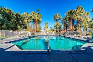 A swimming pool with lounge chairs and palm trees. - Motel 6 Palm Springs, CA - East - Palm Canyon (Palm Springs)
