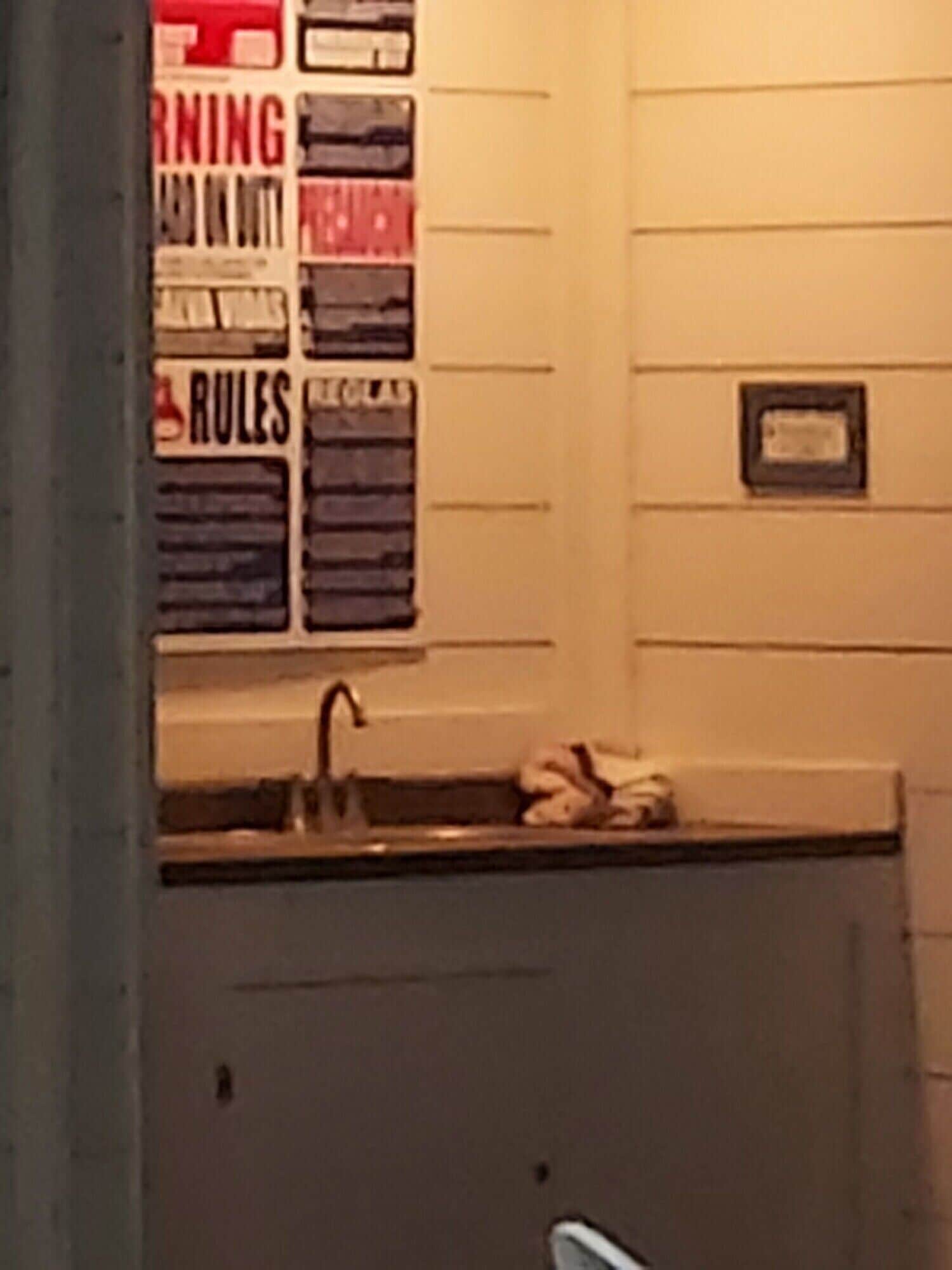 Photo - Motel 6-Bishop, CA