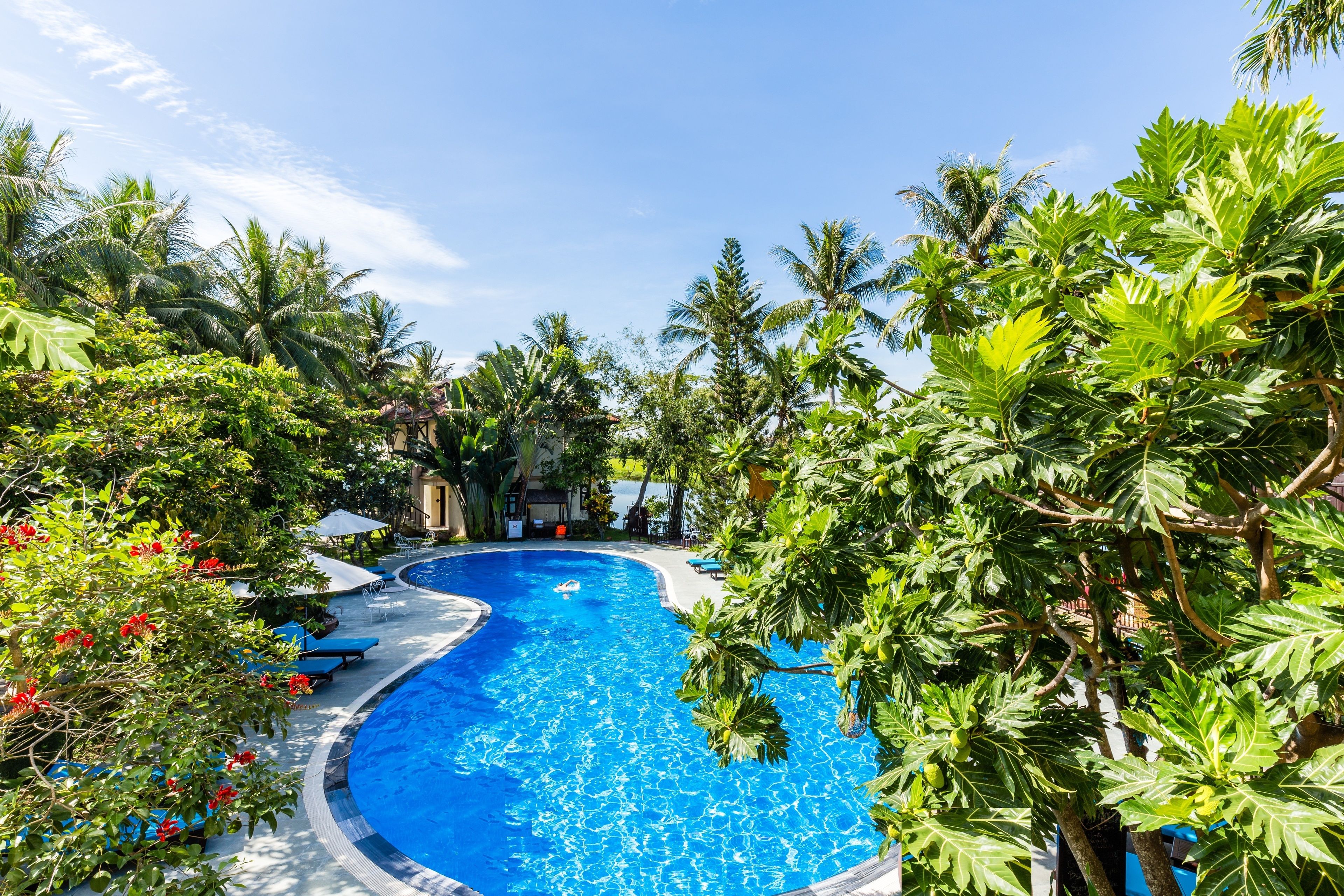 Piscina externa, guarda-sóis, espreguiçadeiras