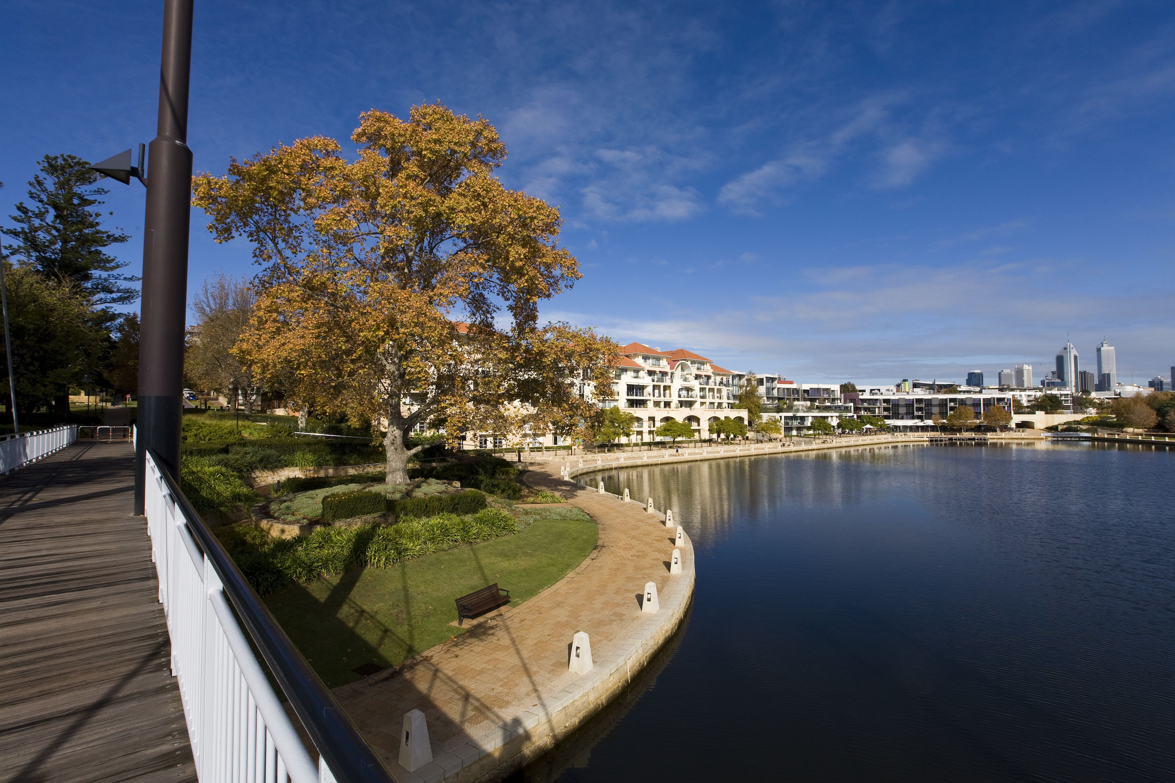 A riverside walkway with a bench, a tree with autumn leaves, and a cityscape in the background.