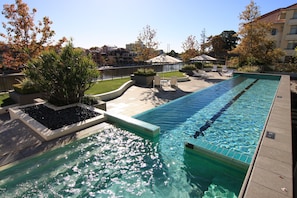 A rectangular swimming pool with a diving board, surrounded by lounge chairs and planters.