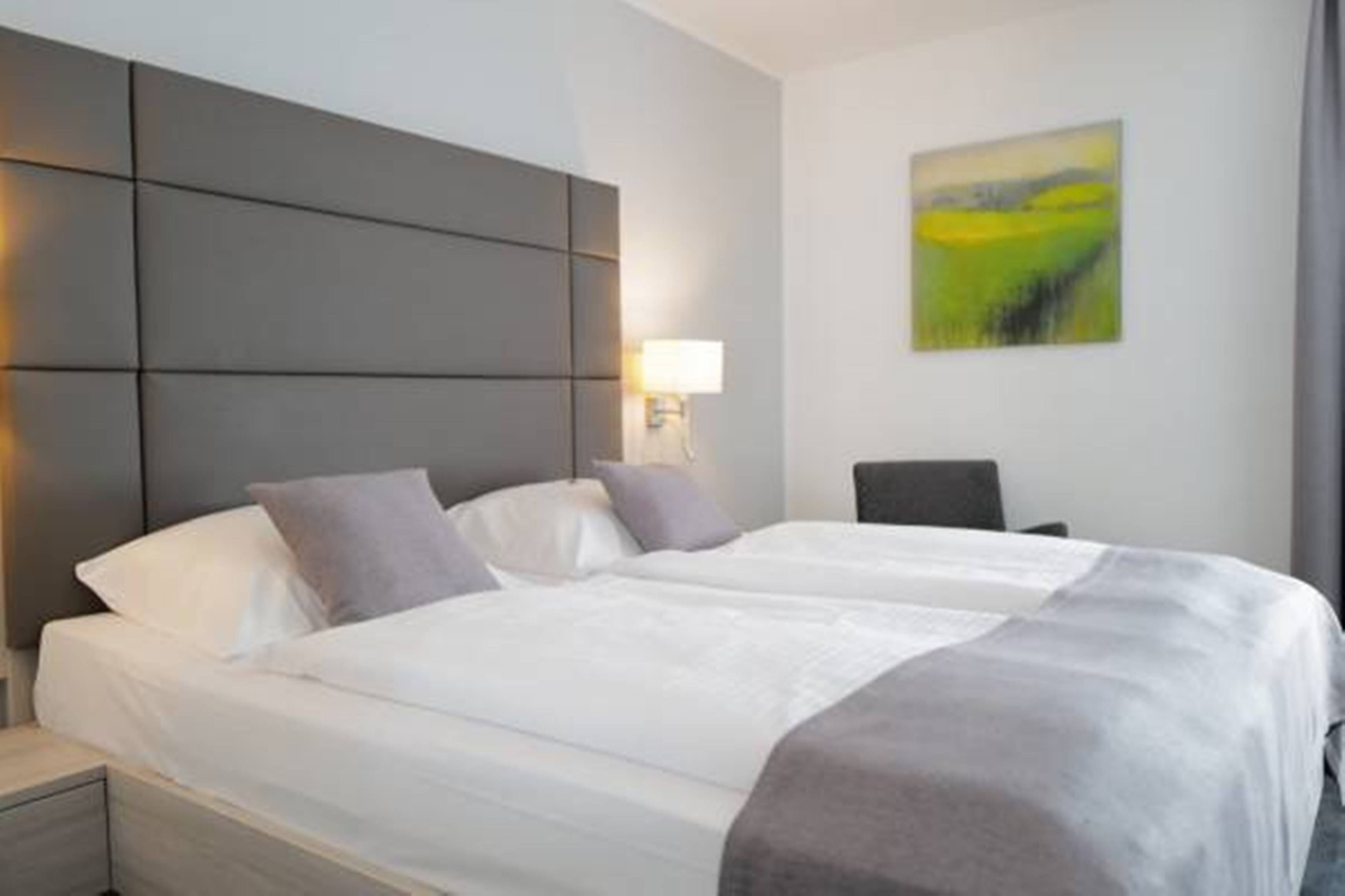 comfort double room | 1 bedroom, premium bedding, pillow-top beds, minibar