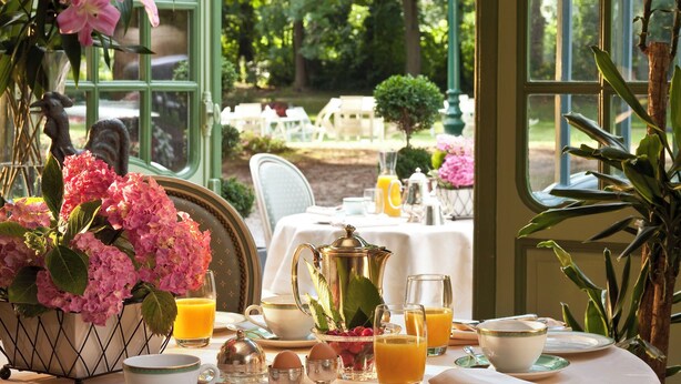 Mesa de desayuno dispuesta con una jarrón, tazas y vasos, rodeada de plantas en macetas y vistas de un jardín exterior.