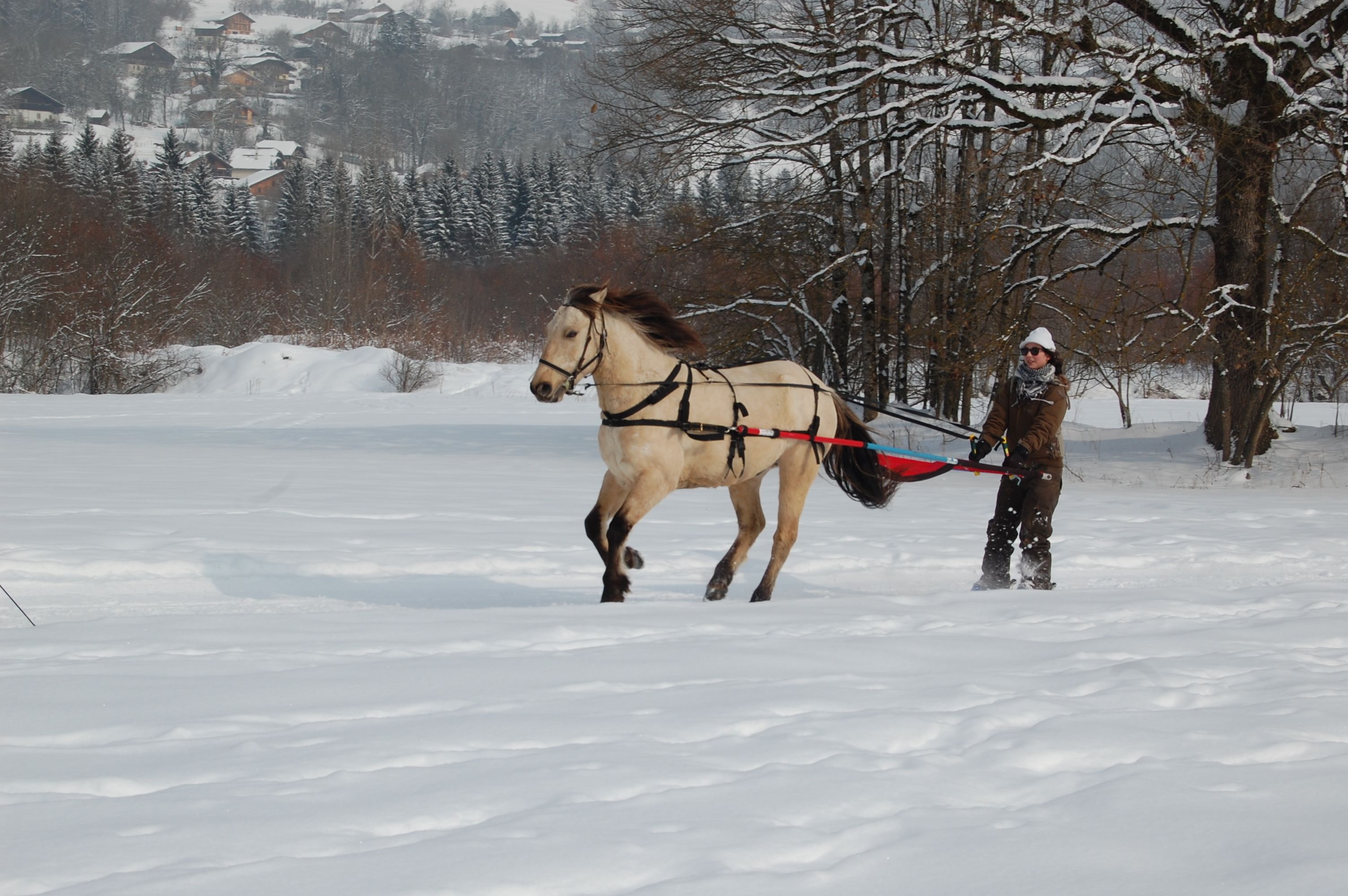 A horse-drawn sleigh moving through a snowy landscape with houses in the background.