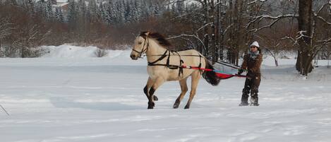 A horse-drawn sleigh moving through a snowy landscape with houses in the background.