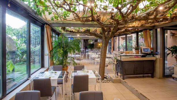 Un comedor interior con mesas y sillas, un árbol grande y vistas al exterior.