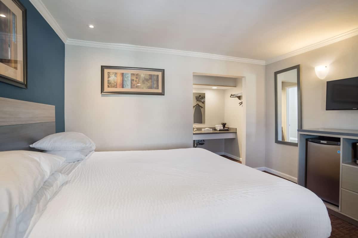 Chambre Standard, 1 très grand lit, non-fumeurs, réfrigérateur et four à micro-ondes | Bureau, rideaux occultants, fer et planche à repasser