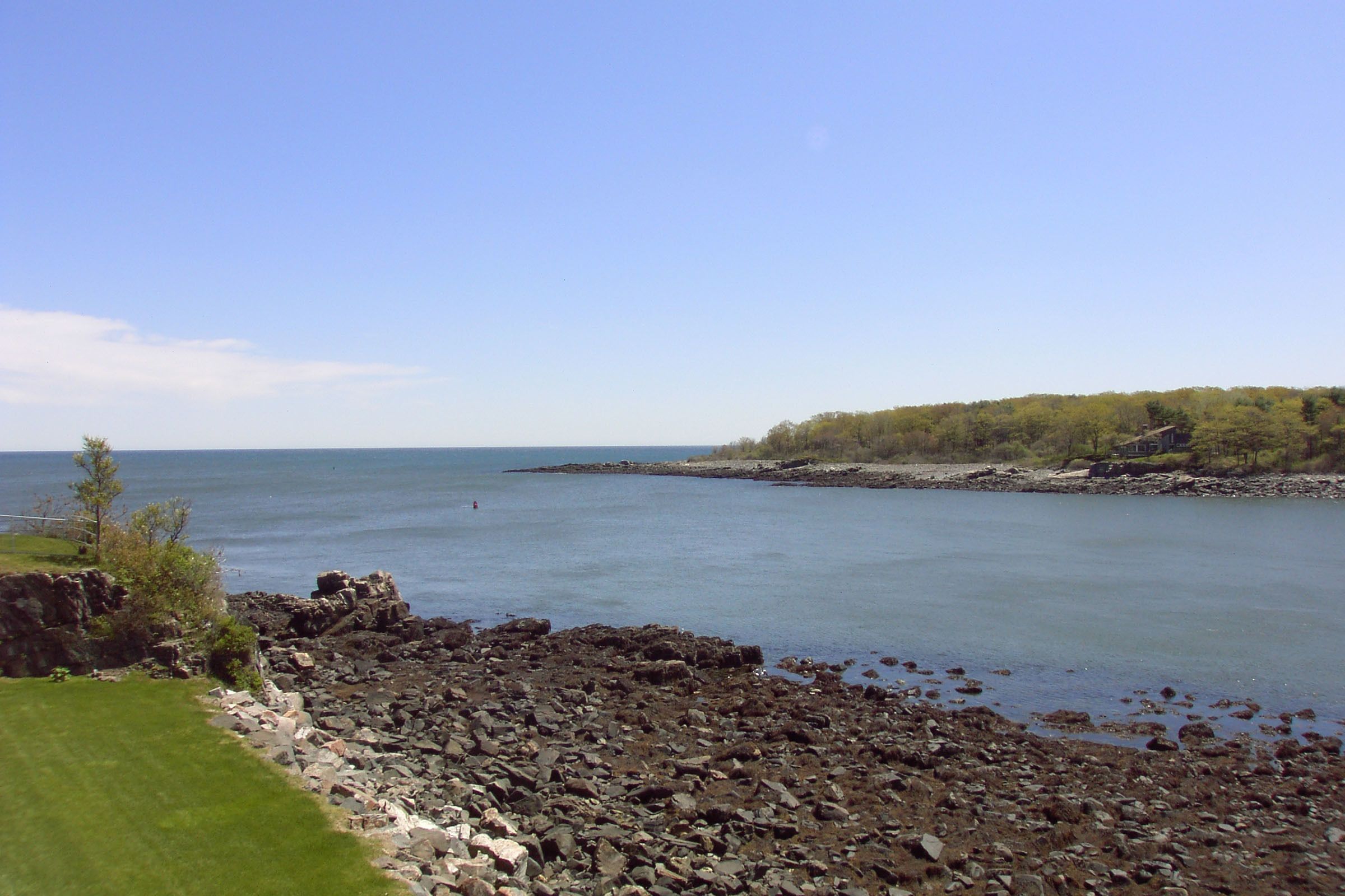 A rocky shoreline with a grassy area and trees in the background.