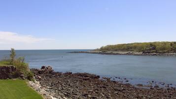A rocky shoreline with a grassy area and trees in the background.